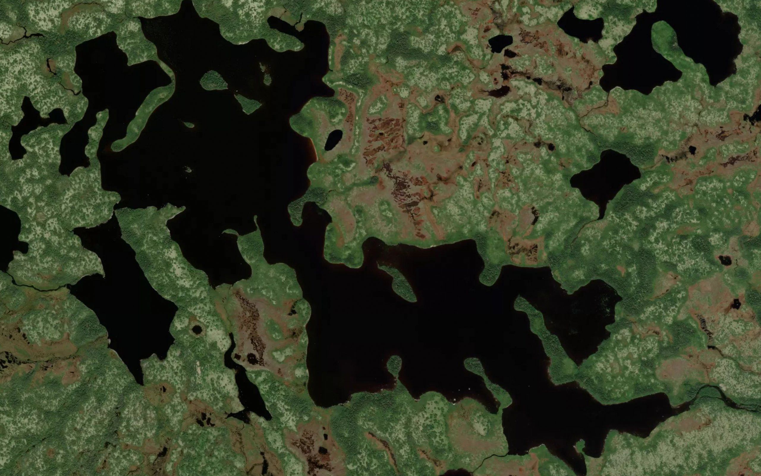 Island Pond