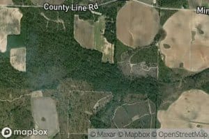 Little Cypress Creek