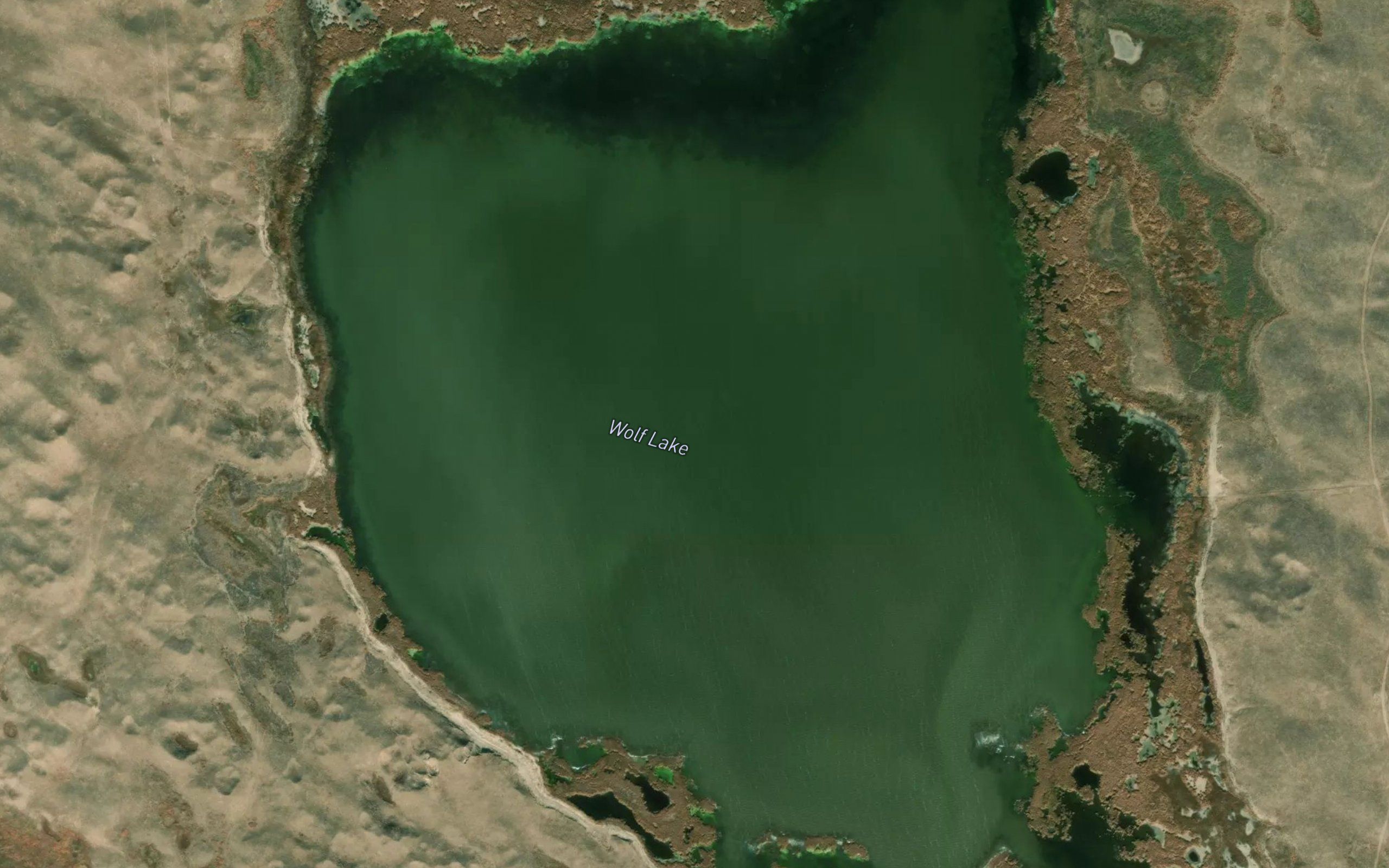 Wolf Lake