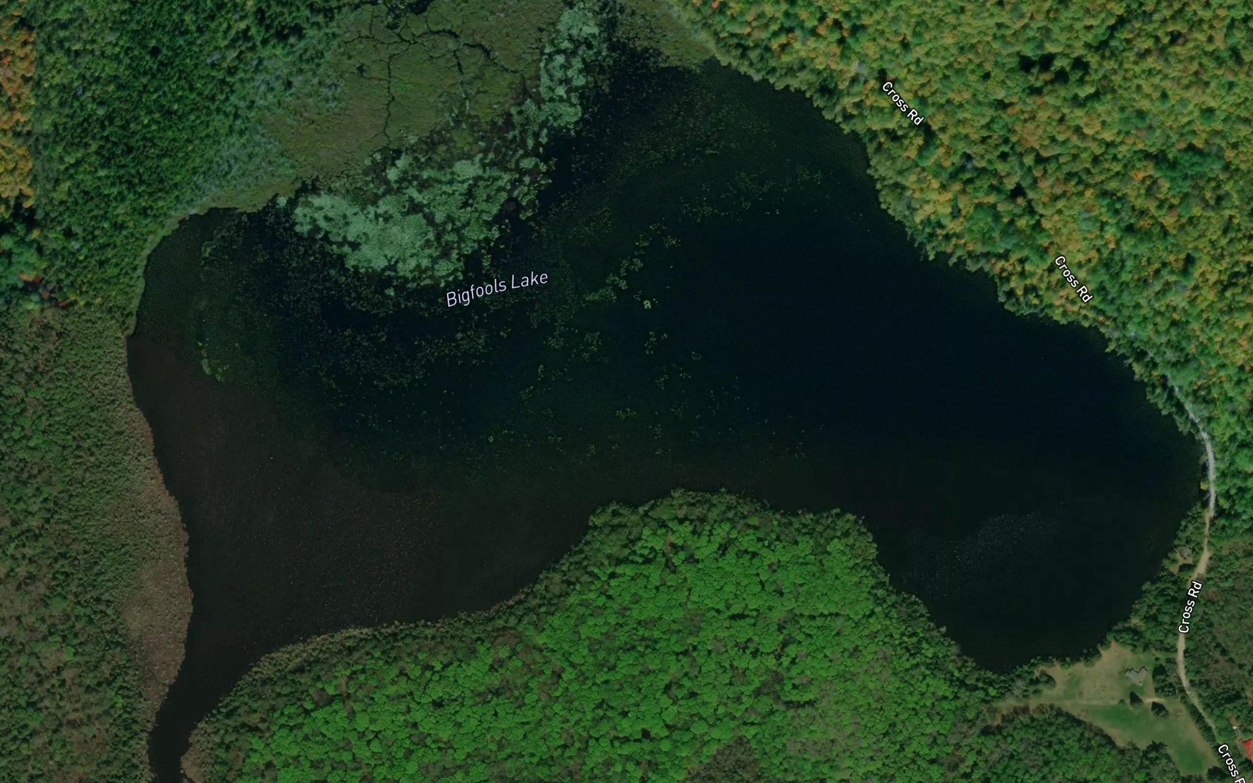 Bigfools Lake