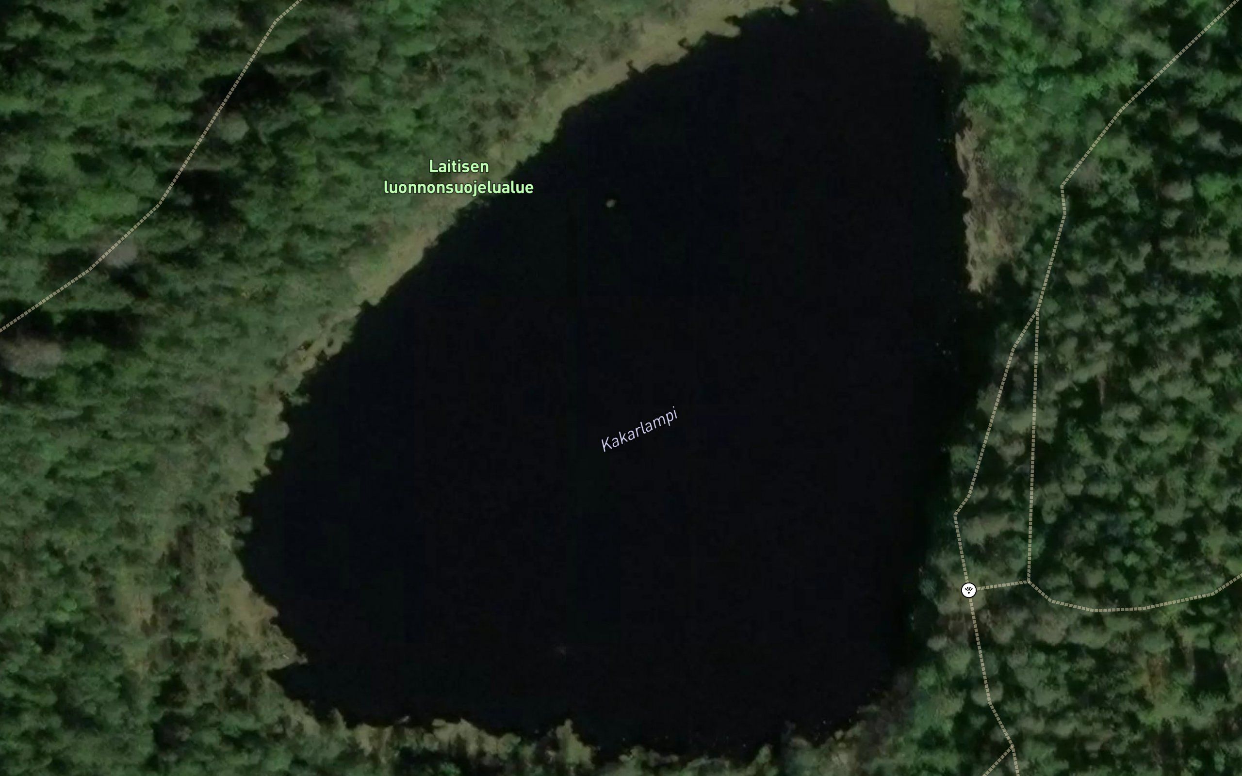 Kakars