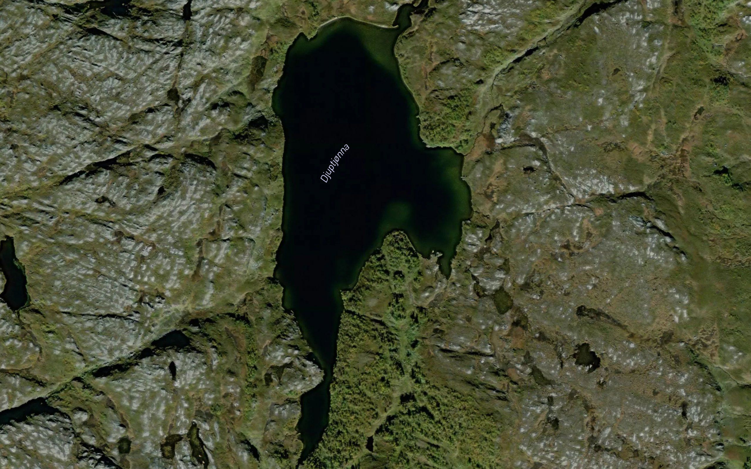 Djuptjorna