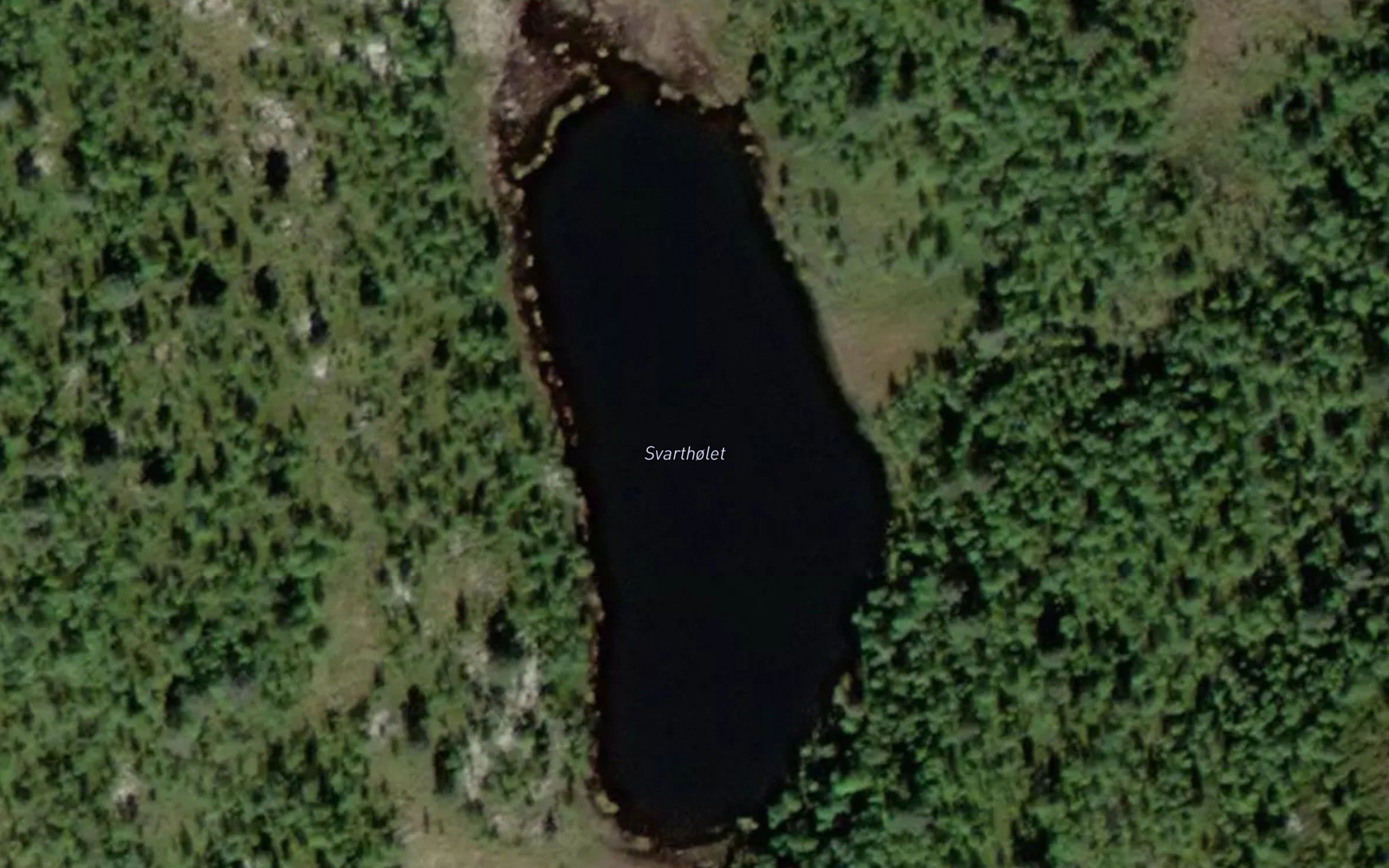 Svartholen