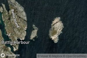 Gull Island Tickle