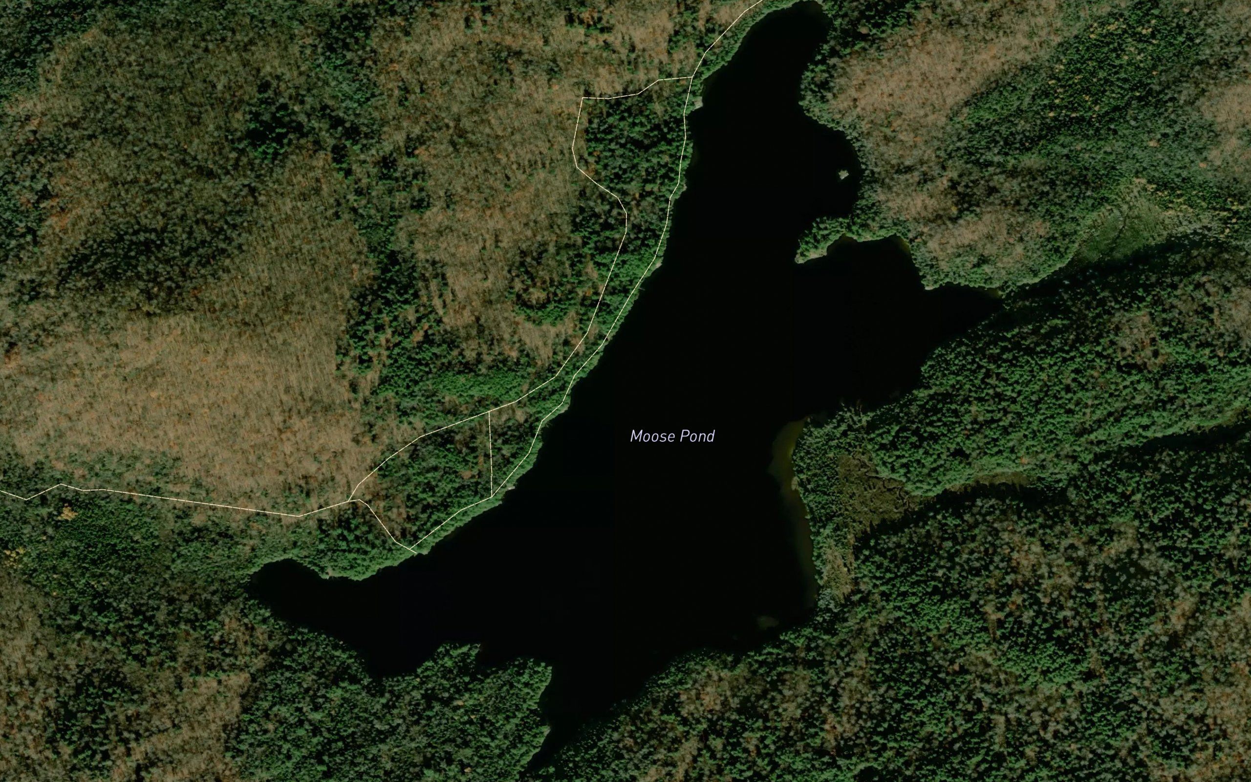 Moose Pond
