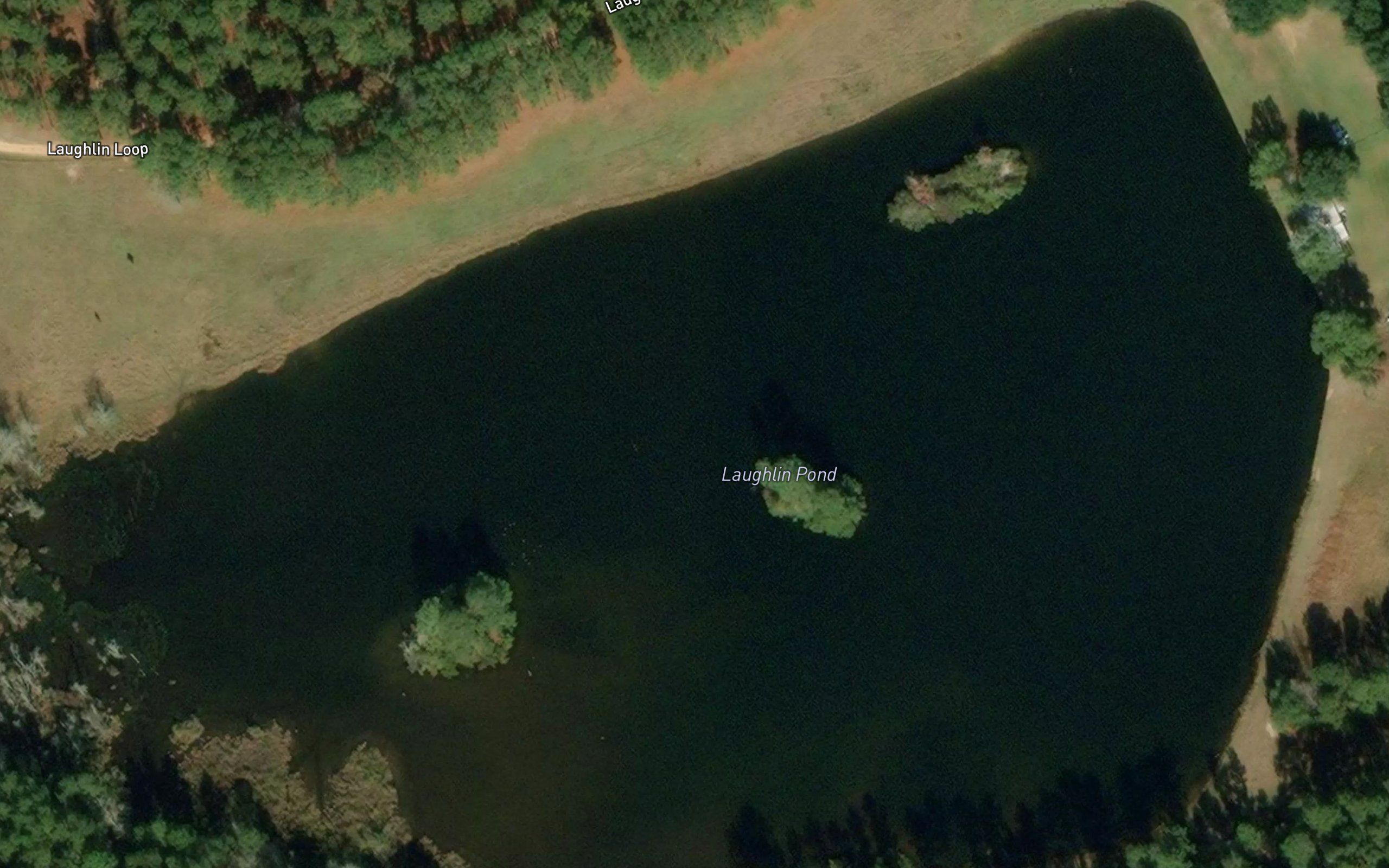 Laughlin Pond