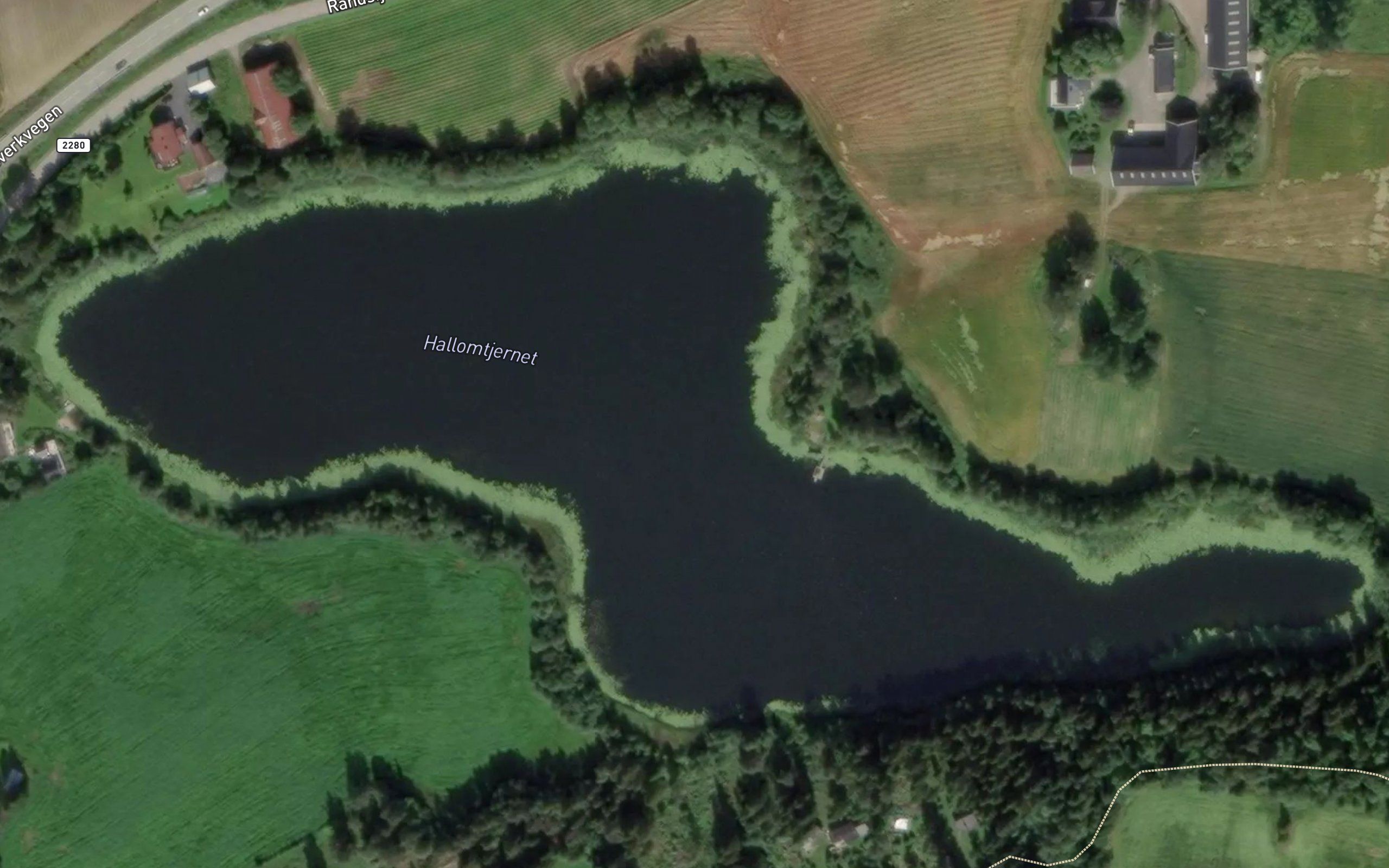 Hallomtjernet