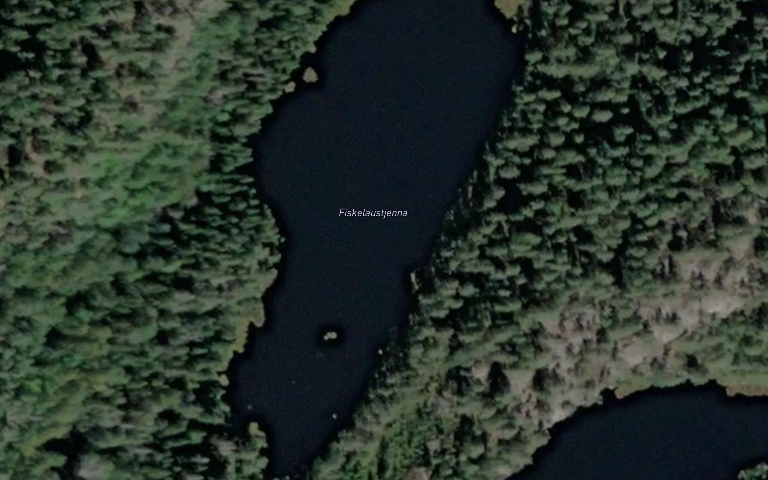 Fiskelaustjerna