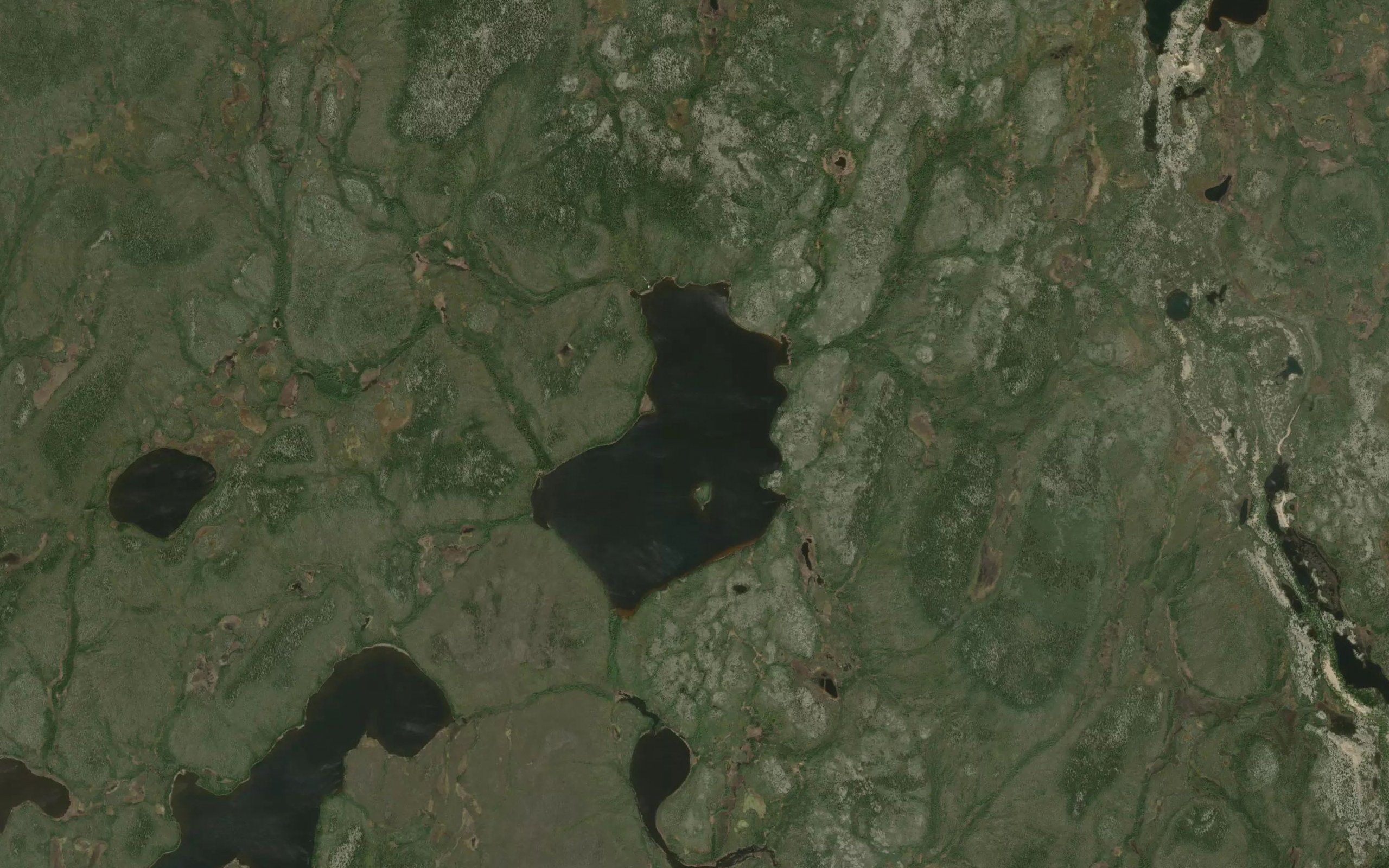 Higgs Lake