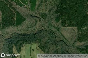 Piney Log Creek