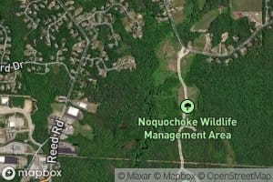 Shingle Island River