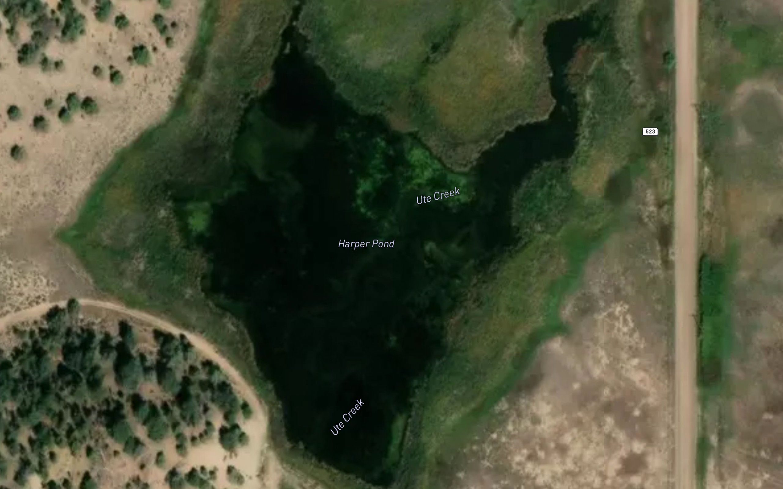Harper Pond