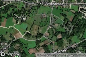 Steenbosbeek