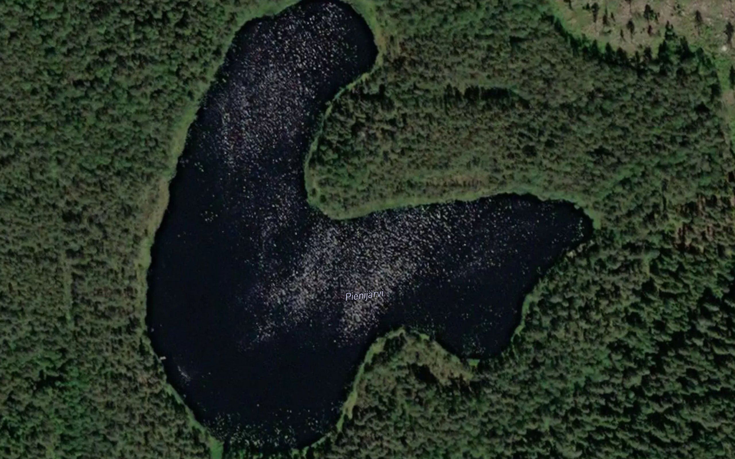 Pienijarvi