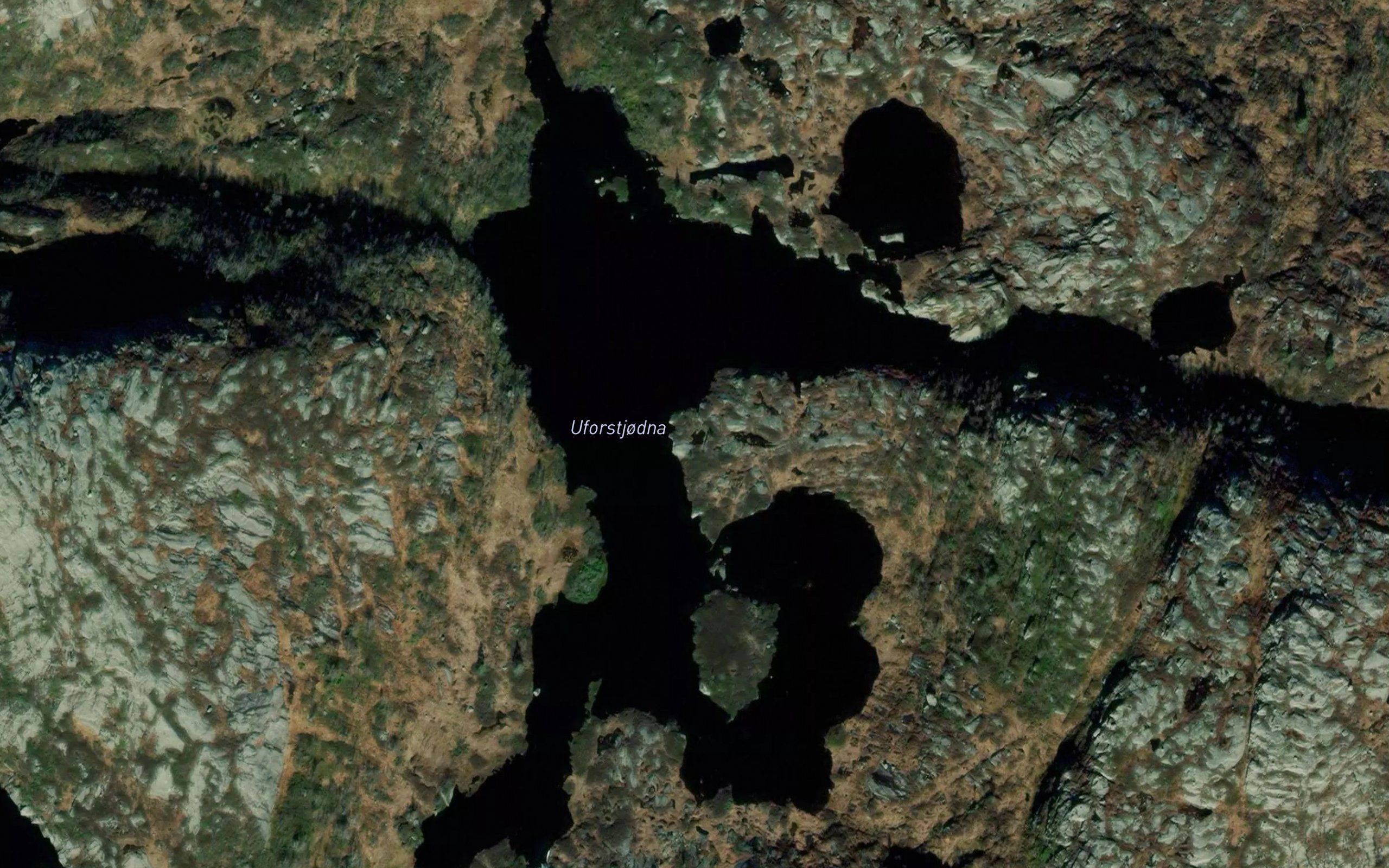 Uforstjodna