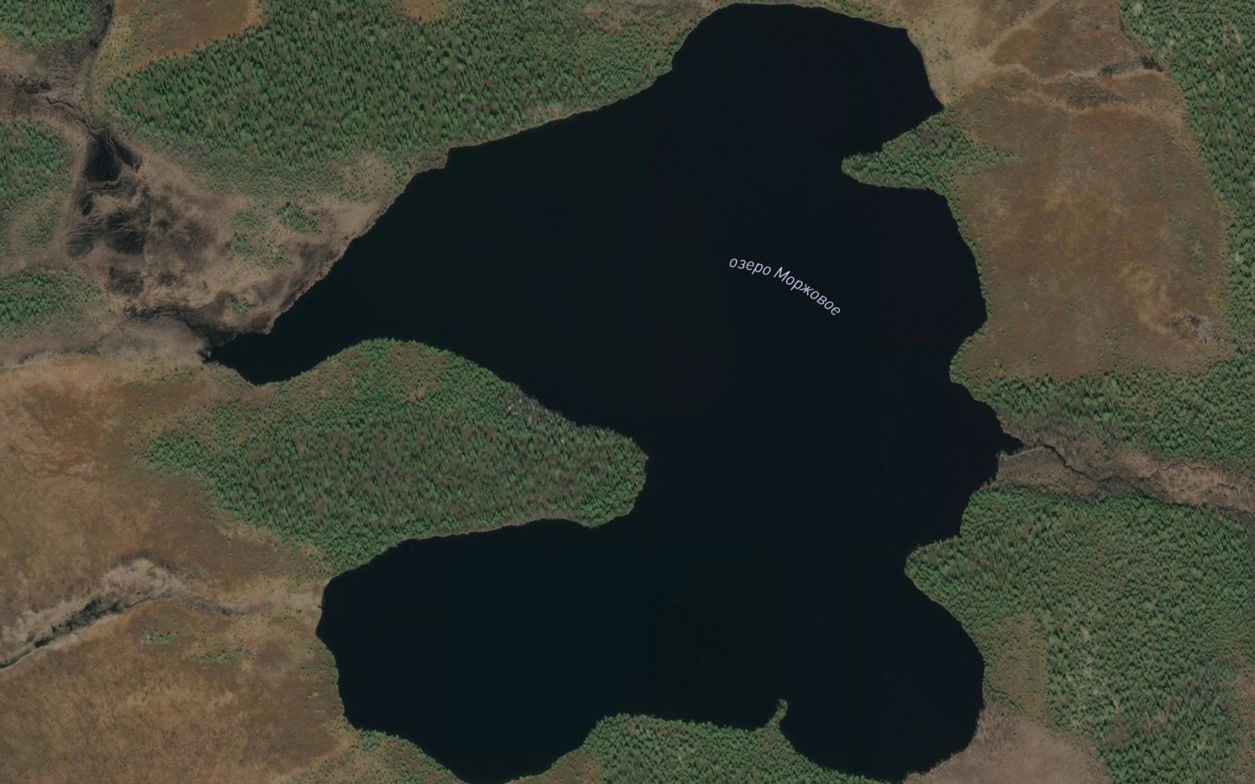 Ozero Morzhovoye
