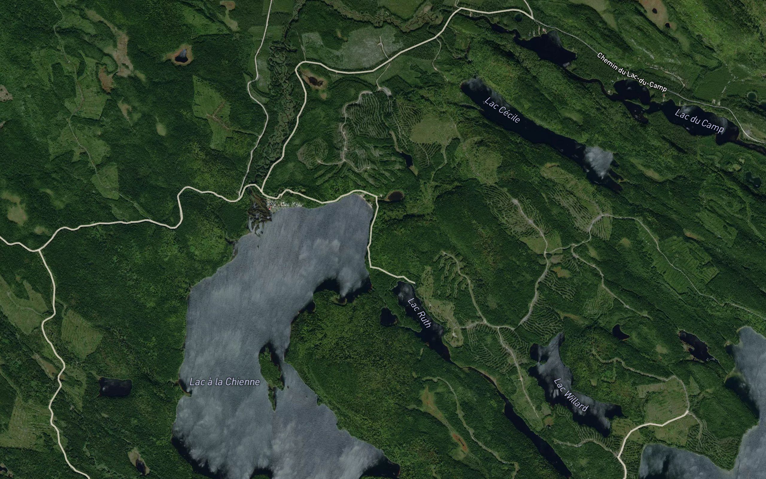 Lac Gibbon