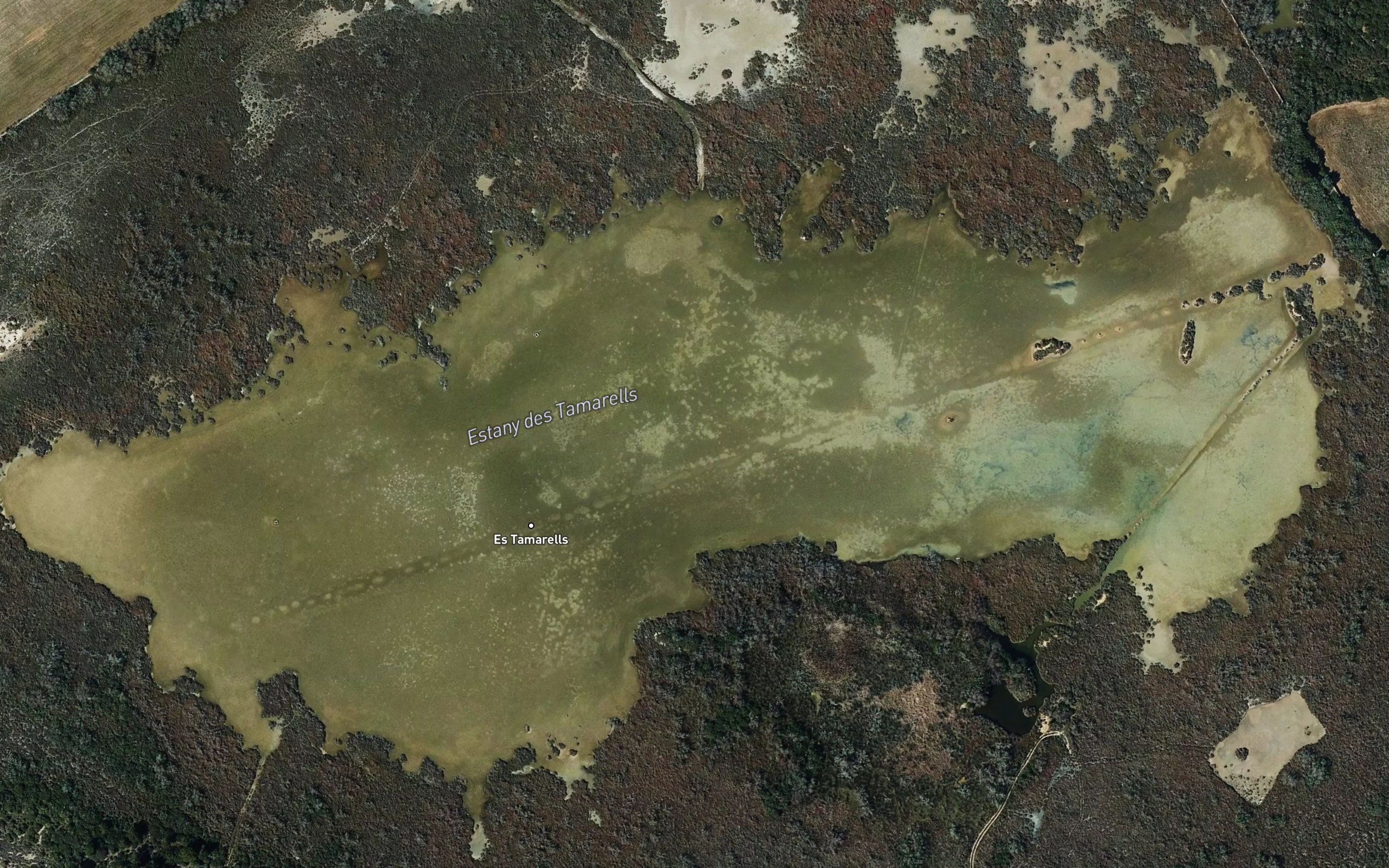 Laguna de Tamarells