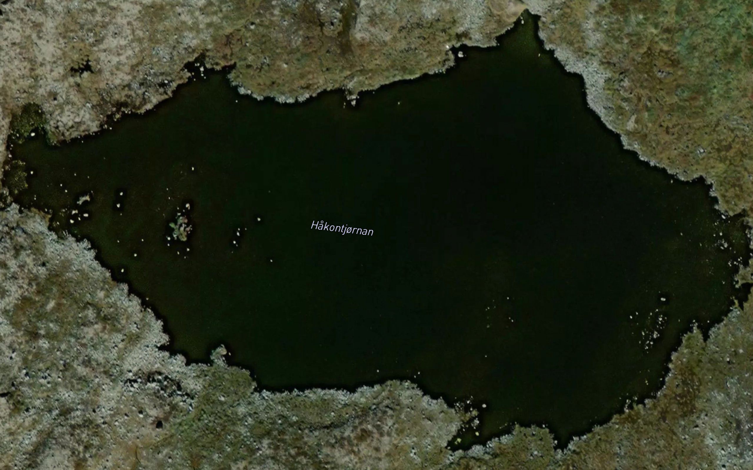 Hakontjornan
