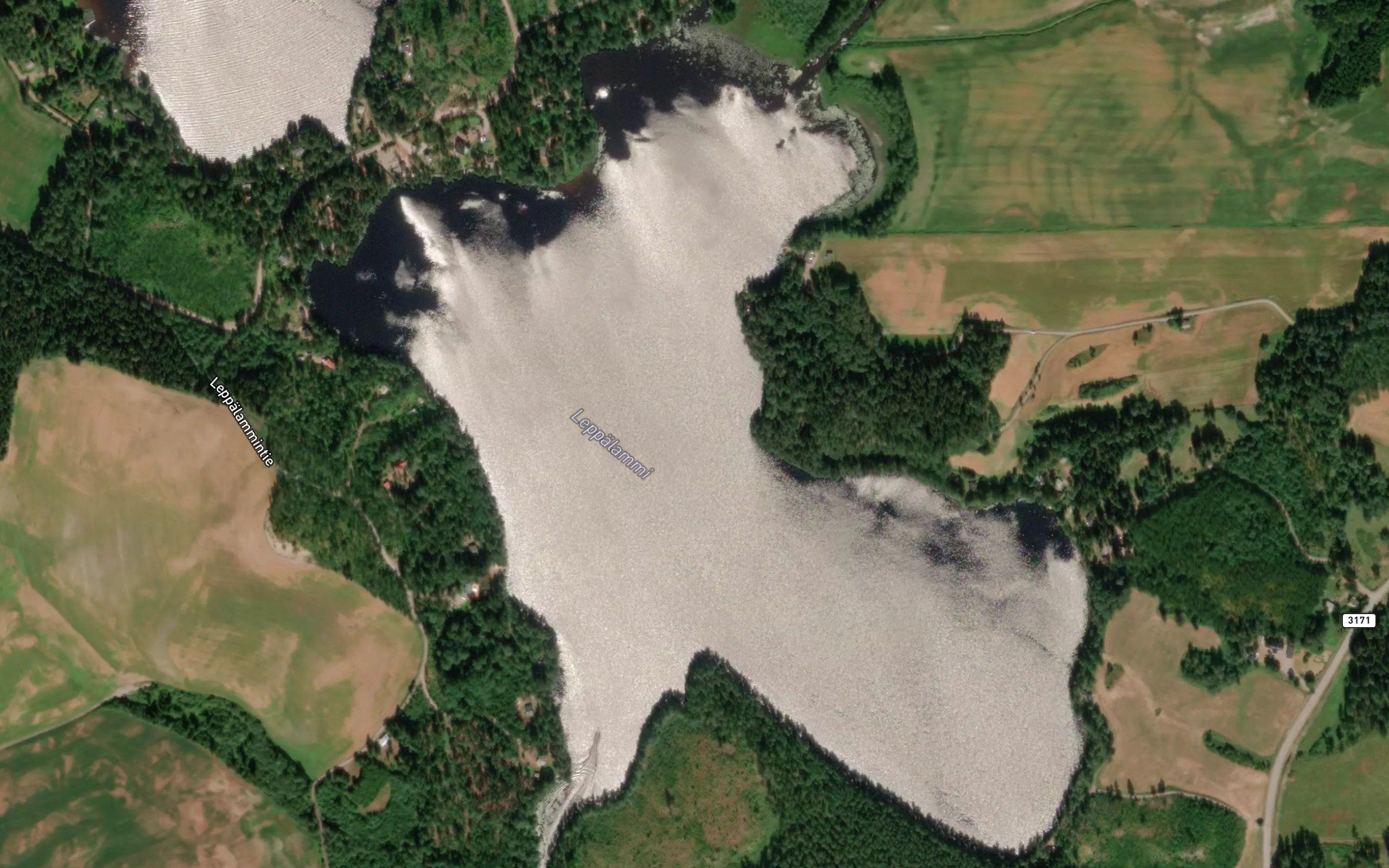 Leppalammi