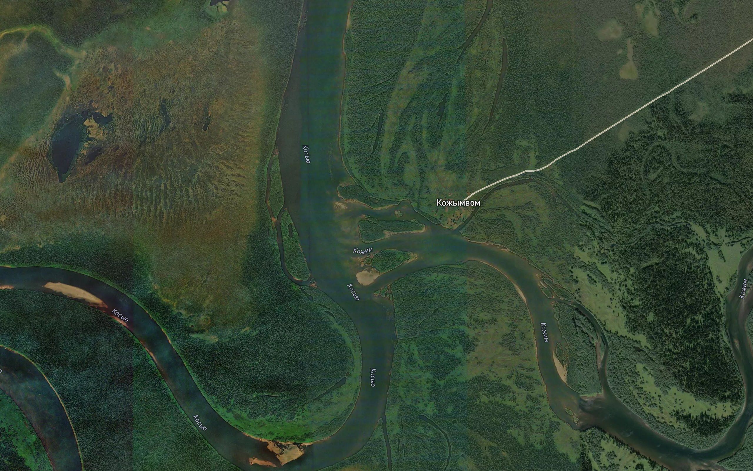 Kozhym