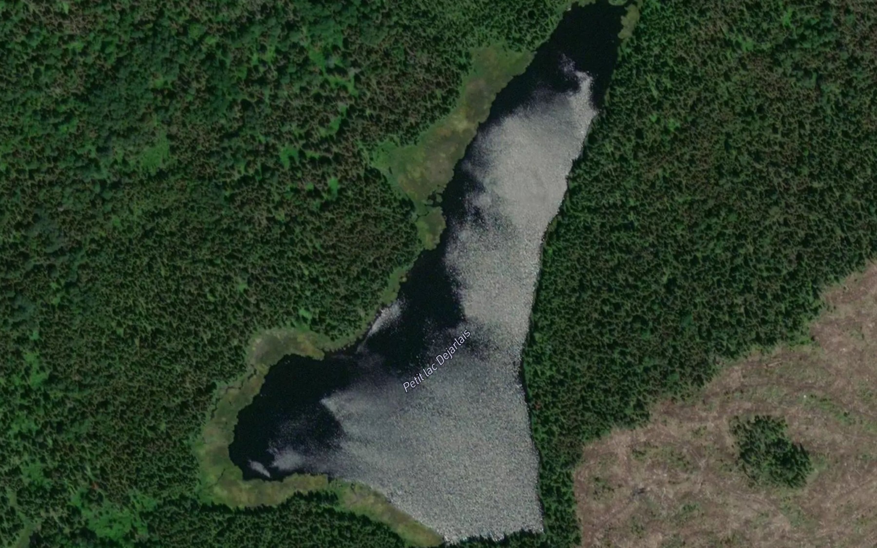 Satellite map of the Petit lac Dejarlais