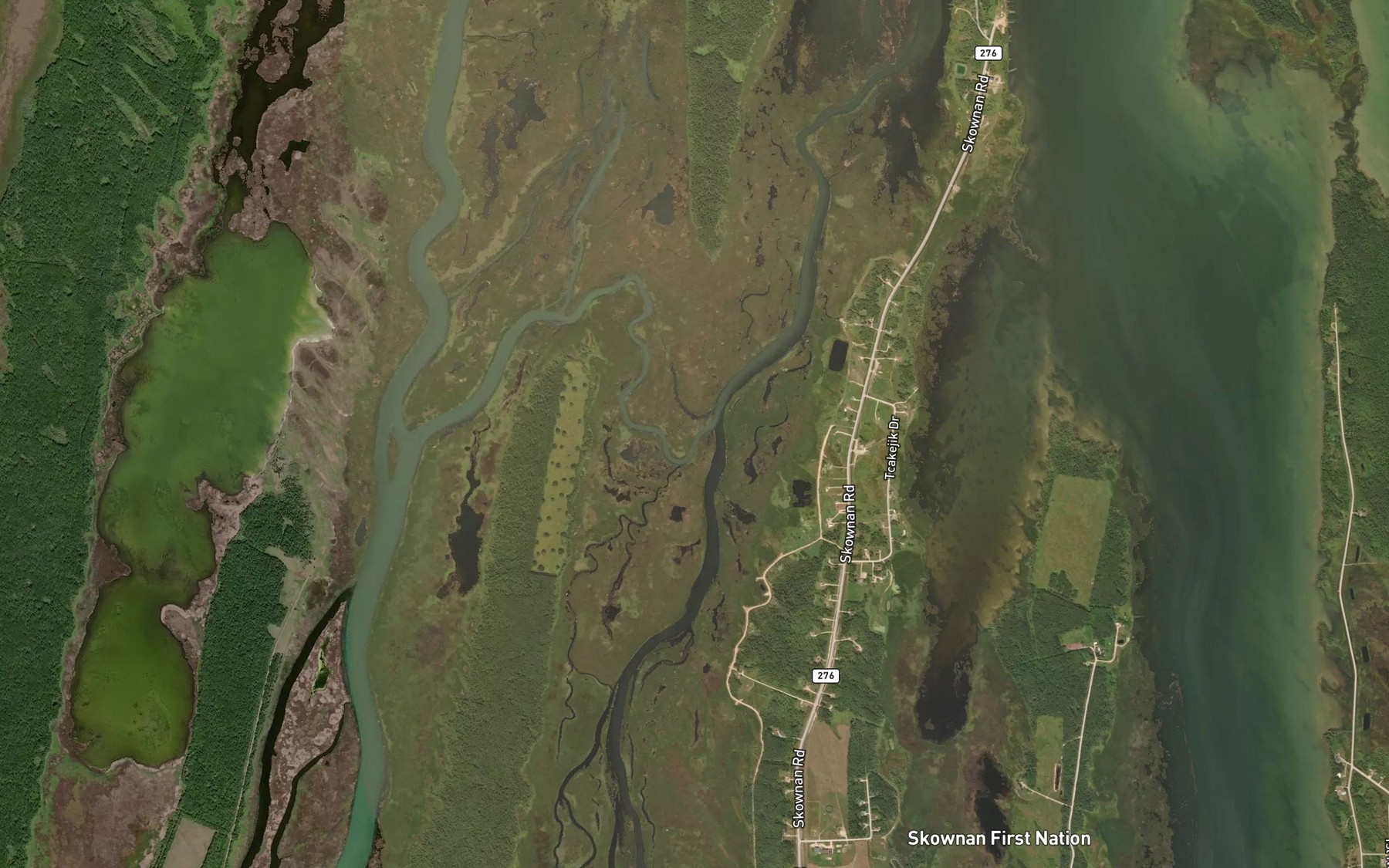 Satellite map of the Snake River