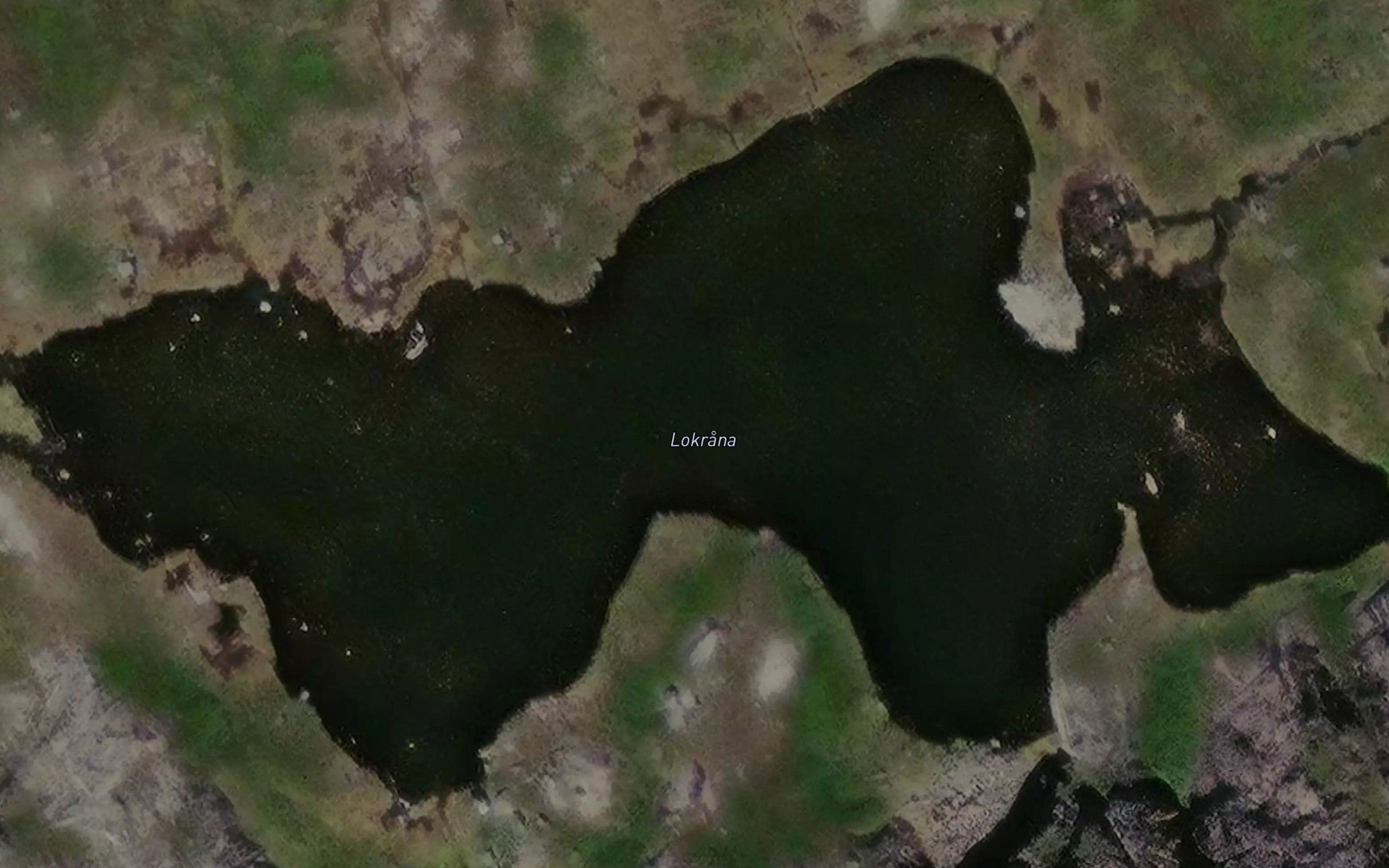 Lokrana