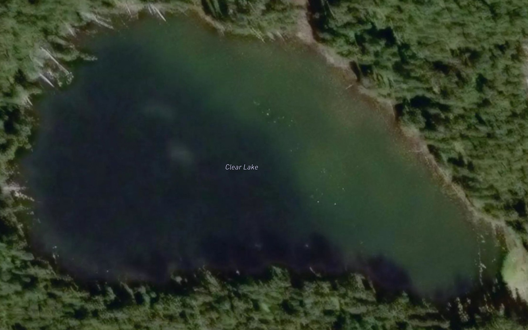 Satellite map of the Clear Lake