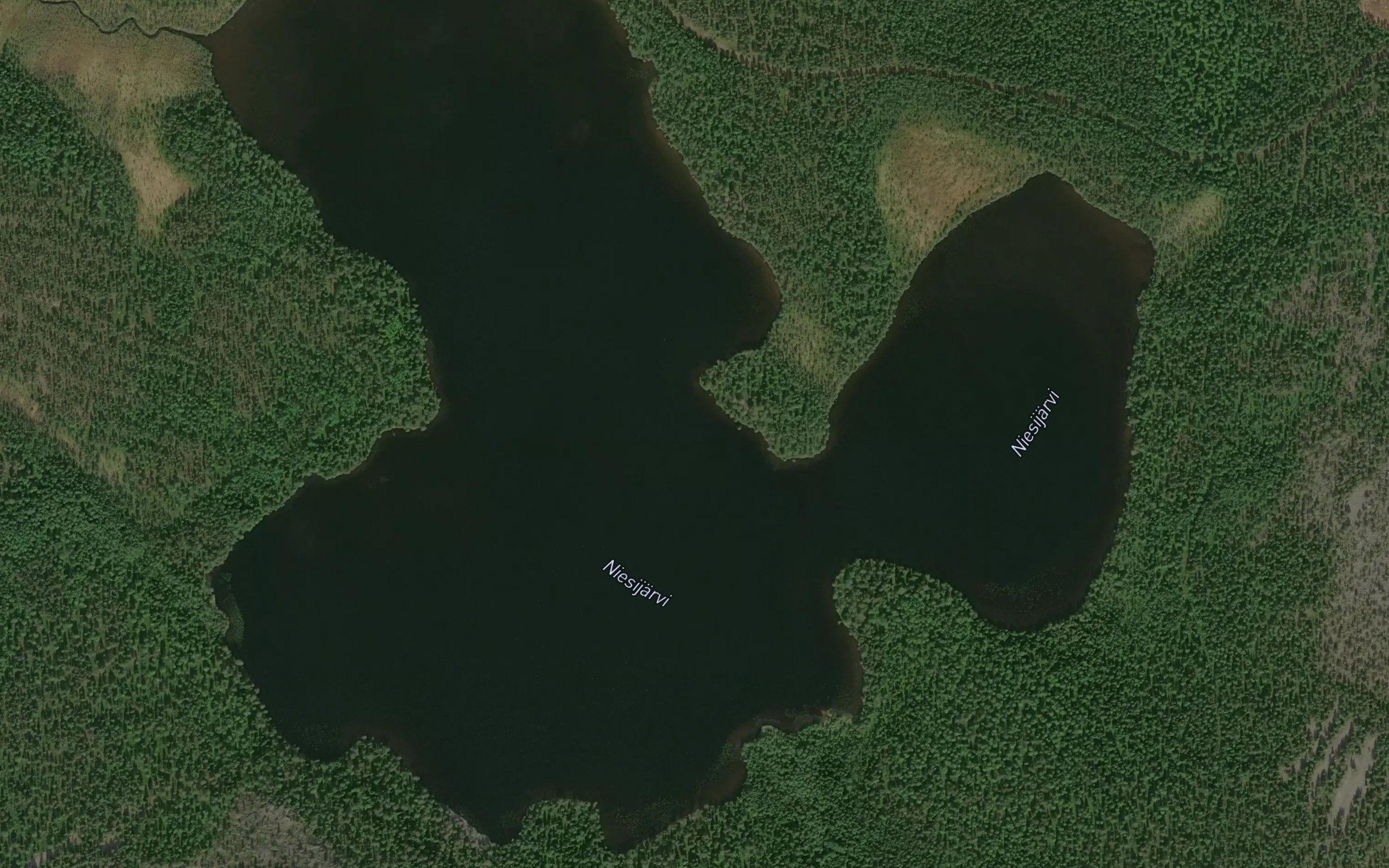 Niesijarvi