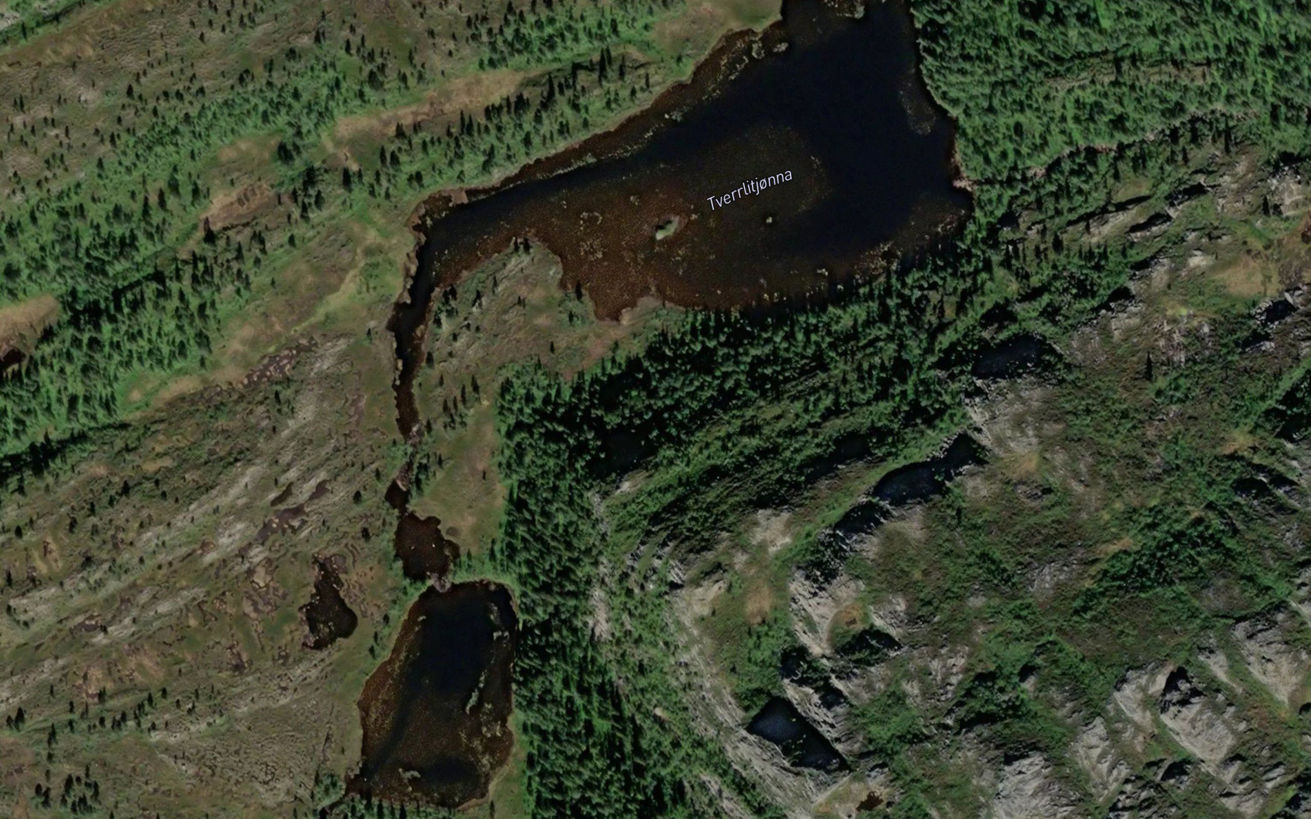 Vakkerlitjornan
