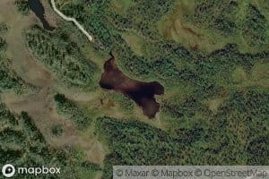 Kivijarvi