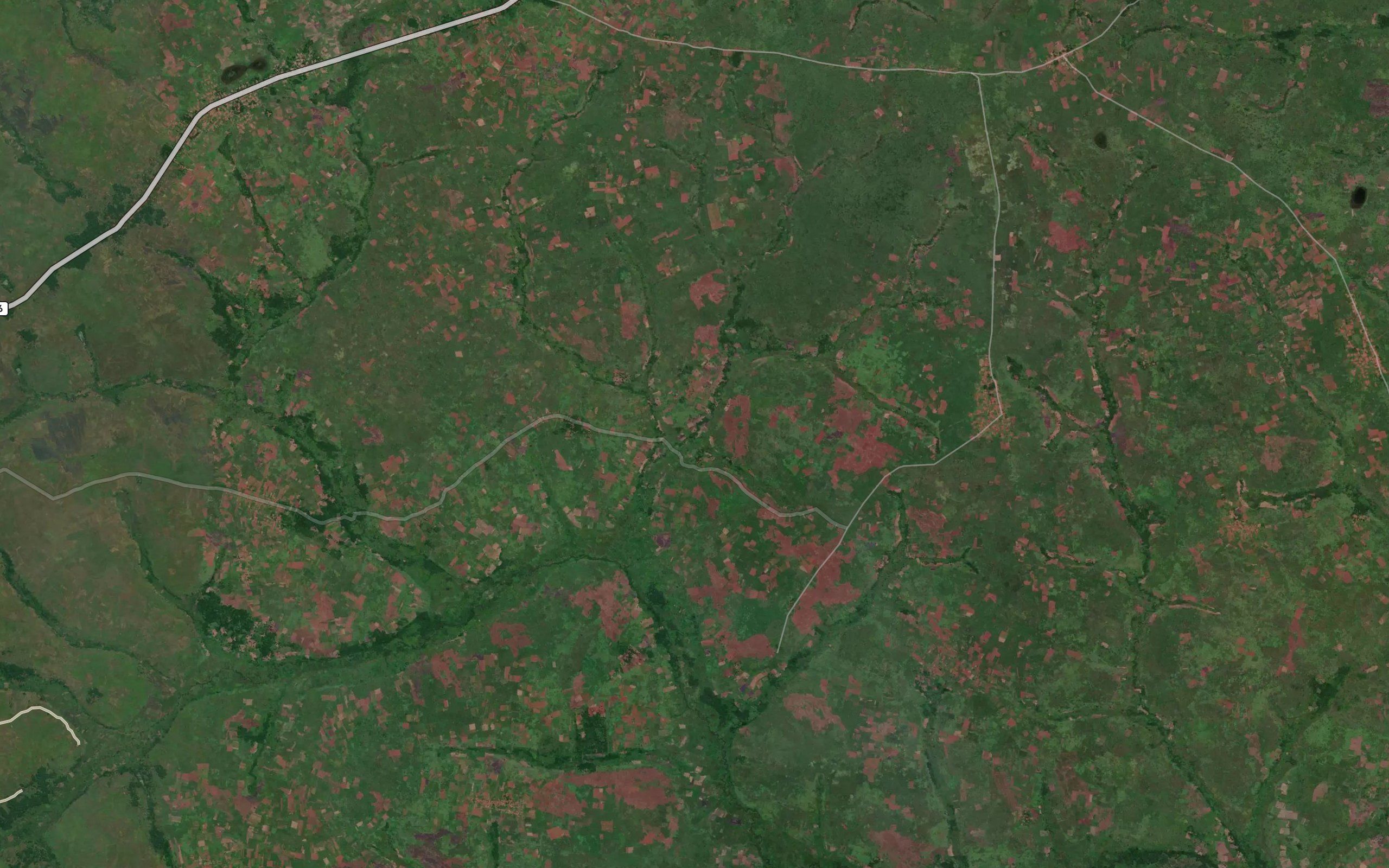 Kangulungu