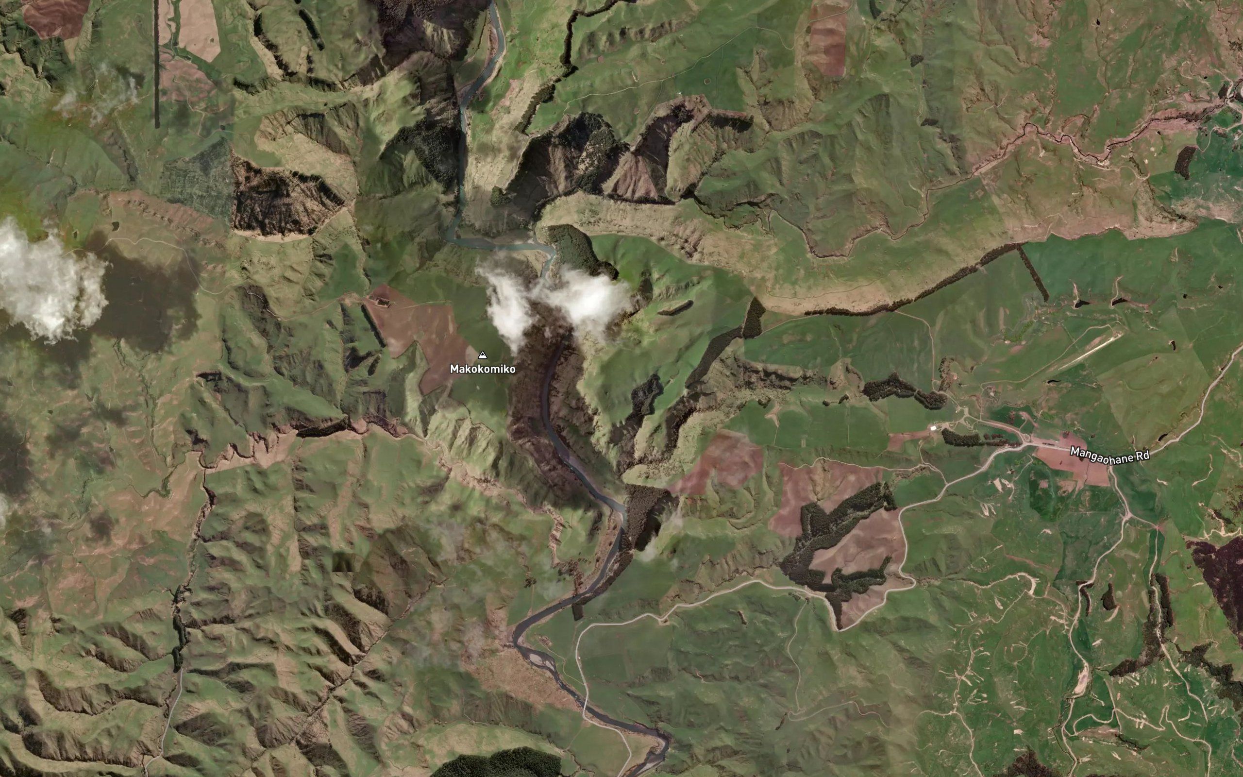 Waiwhakapoua Stream