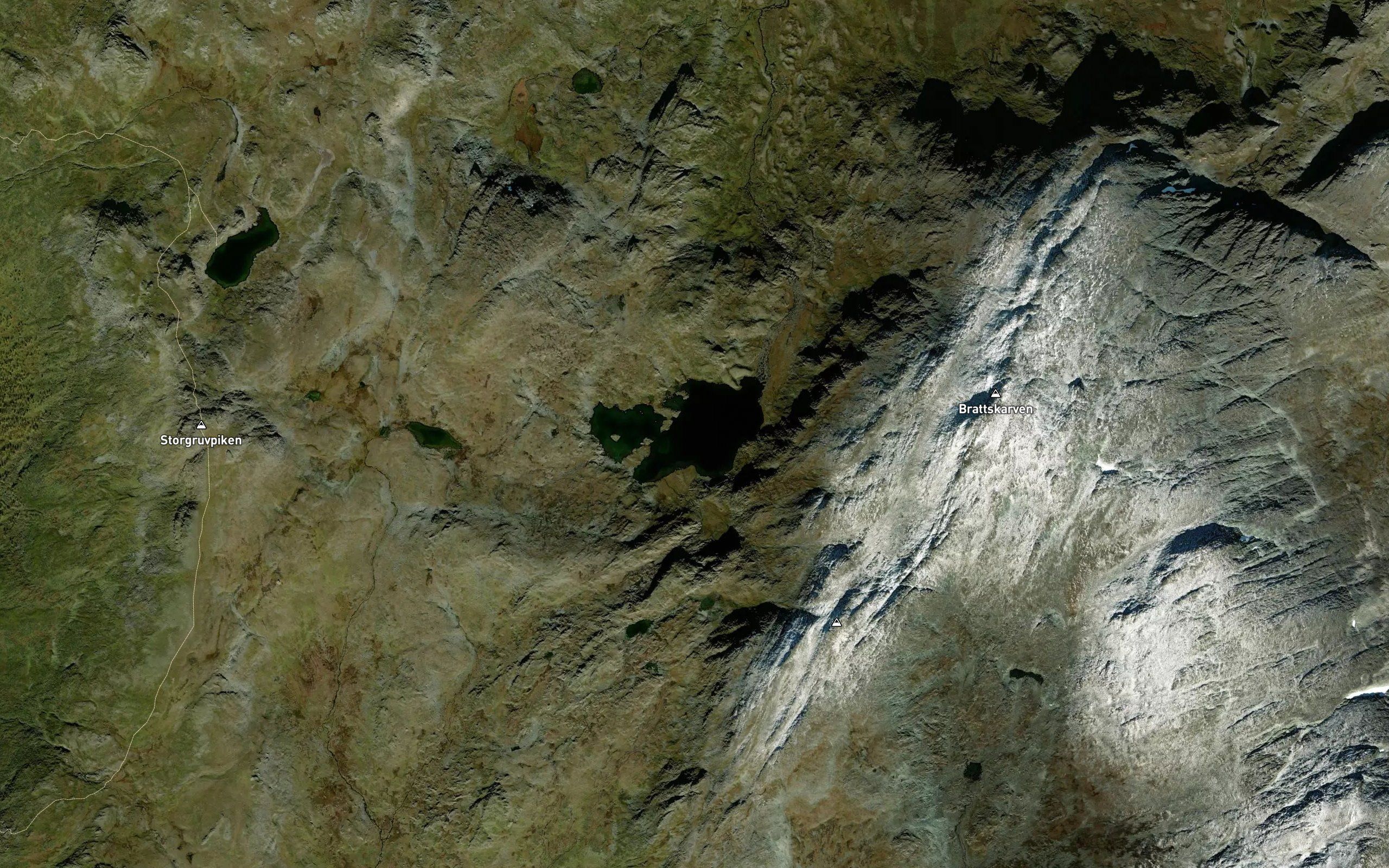 Svarttjorna