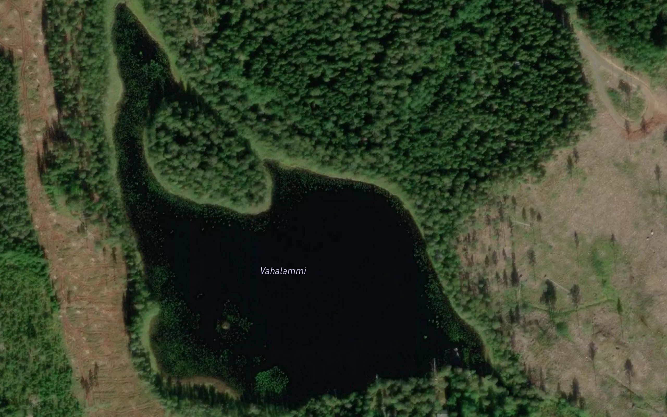 Vahalammi