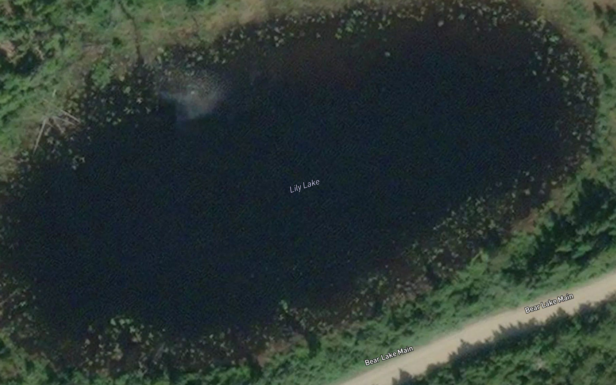 Lily Lake