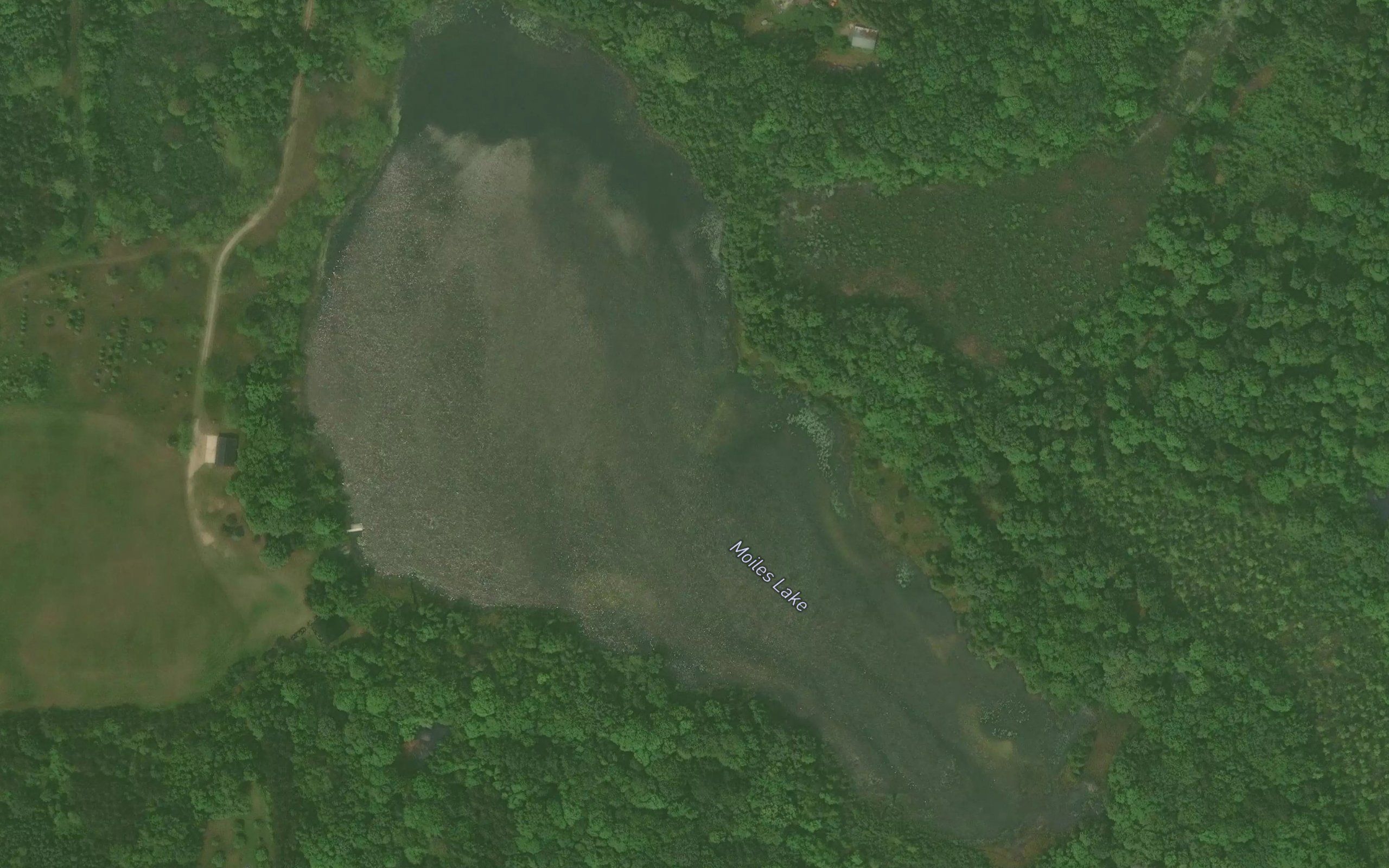 Moiles Lake