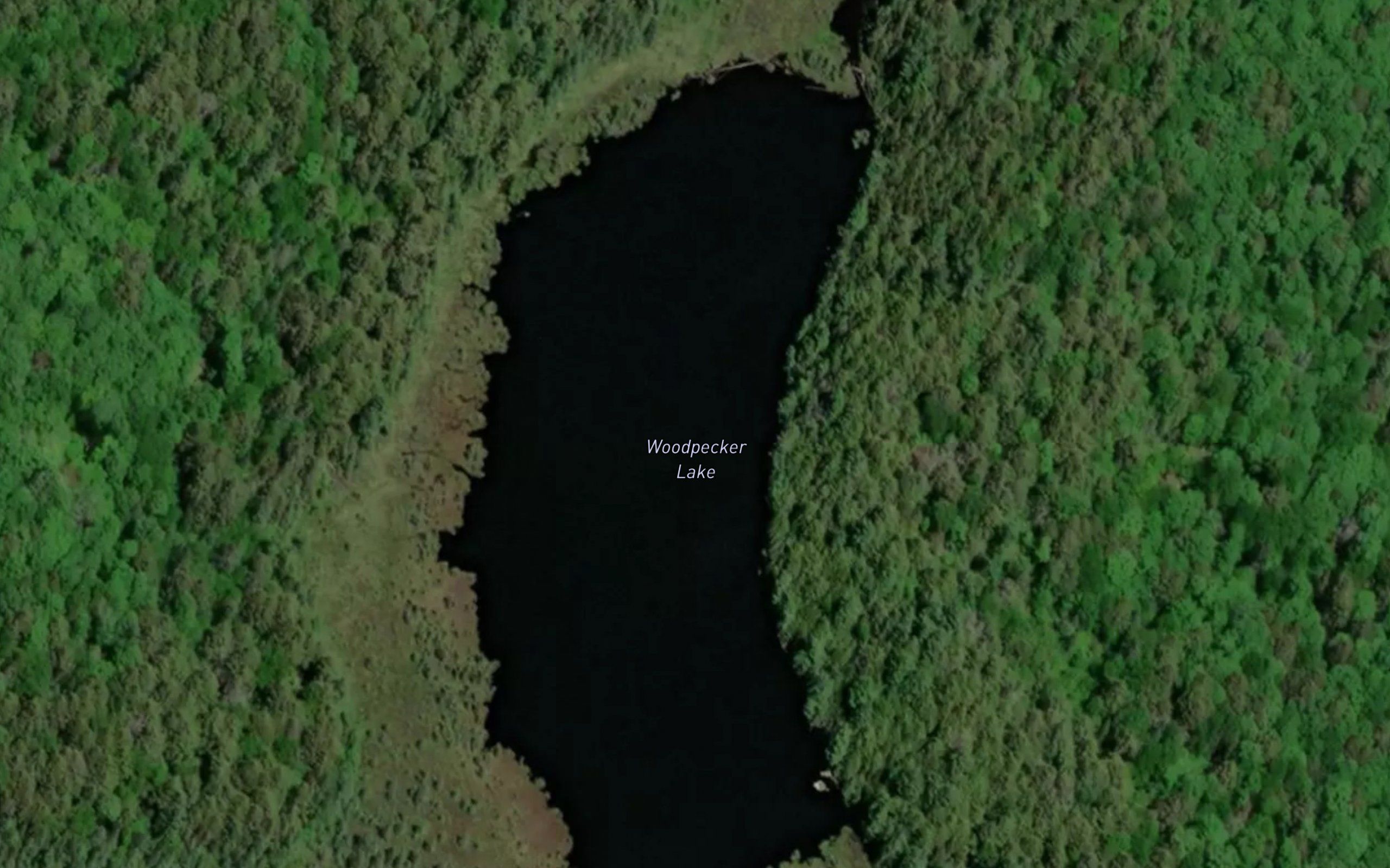 Woodpecker Lake