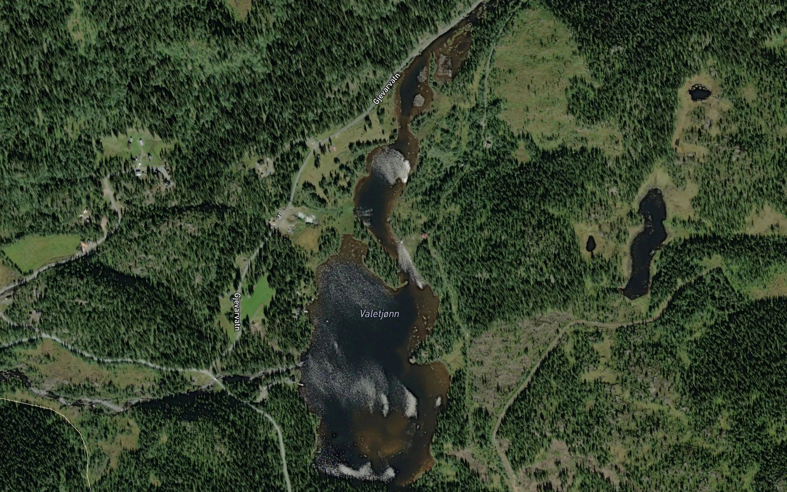 Valetjonn