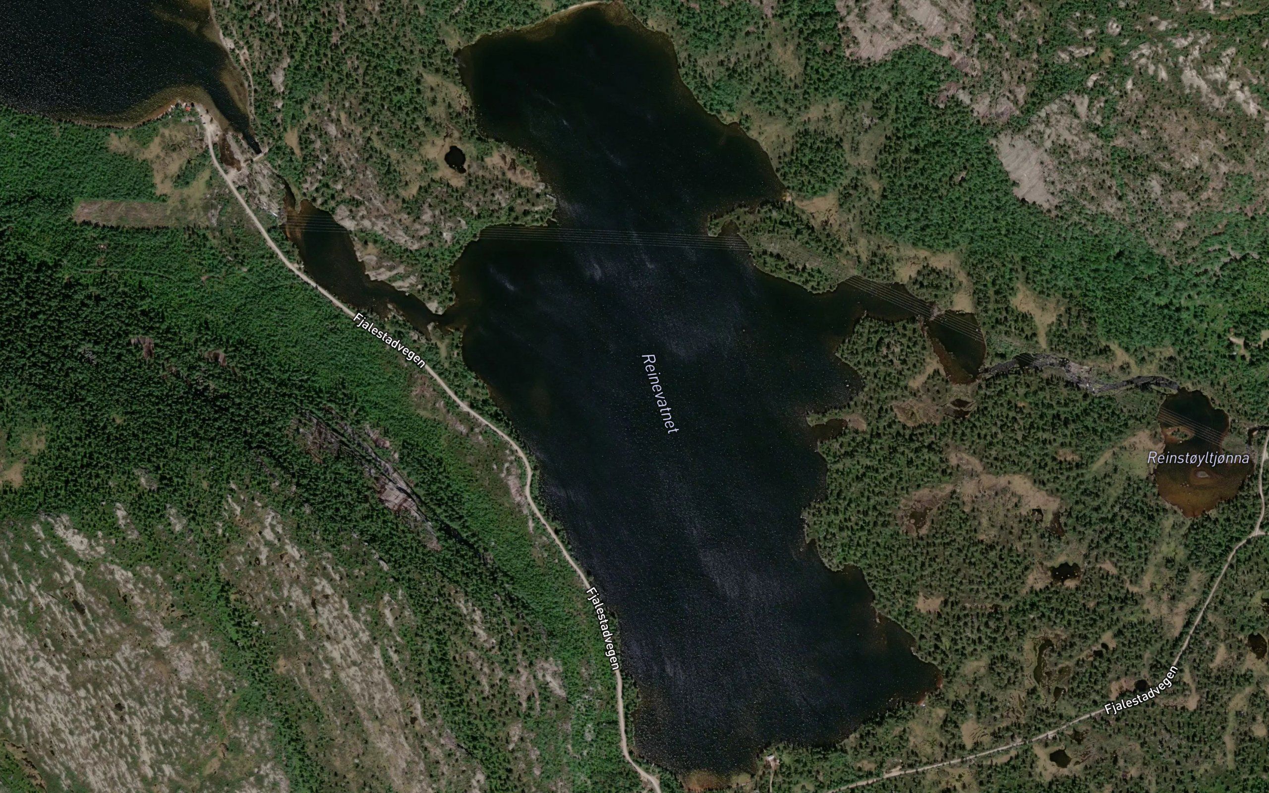 Reinevatnet