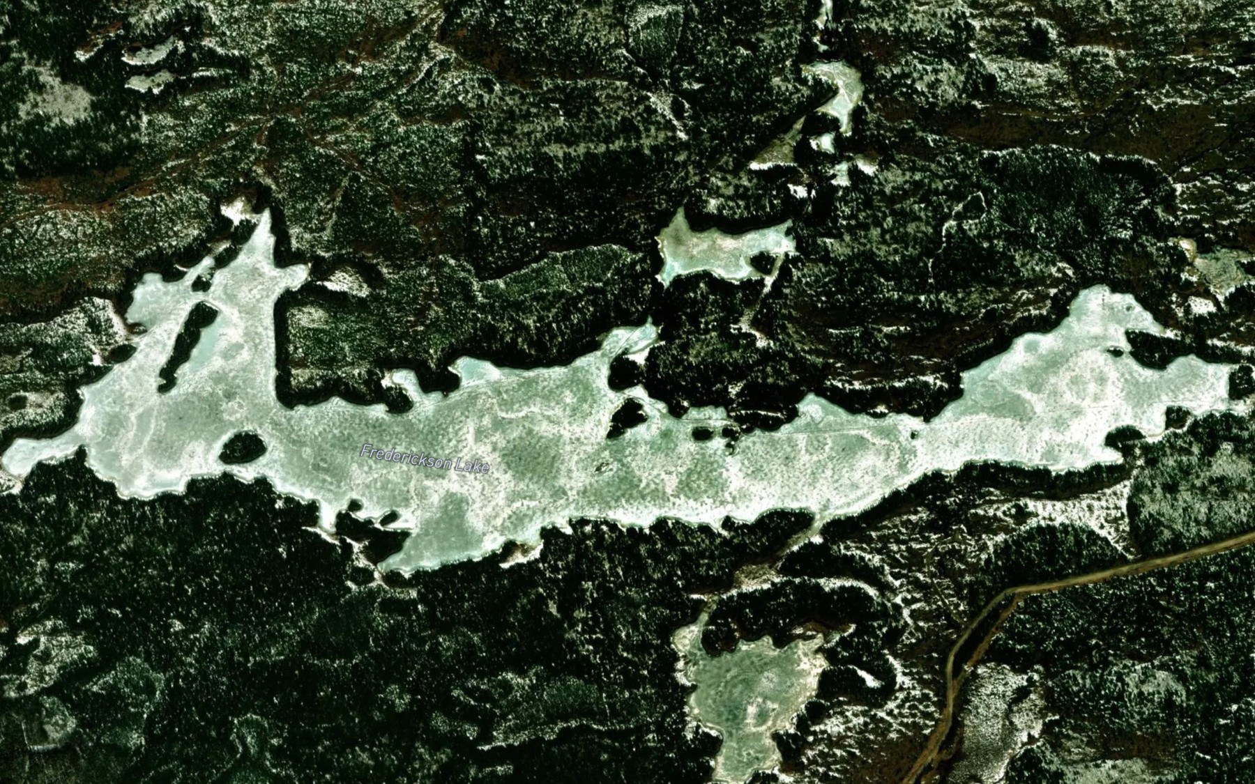Satellite map of the Frederickson Lake