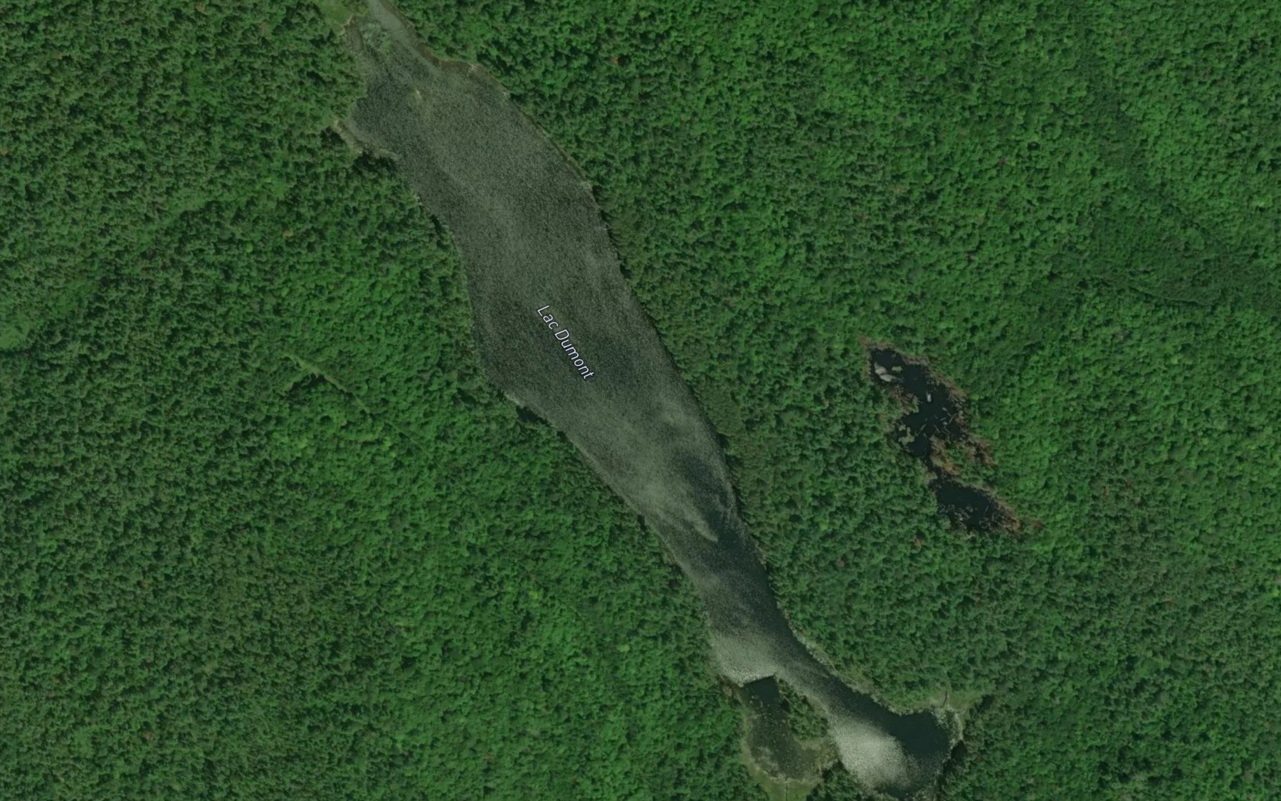 Satellite map of the Lac Dumont