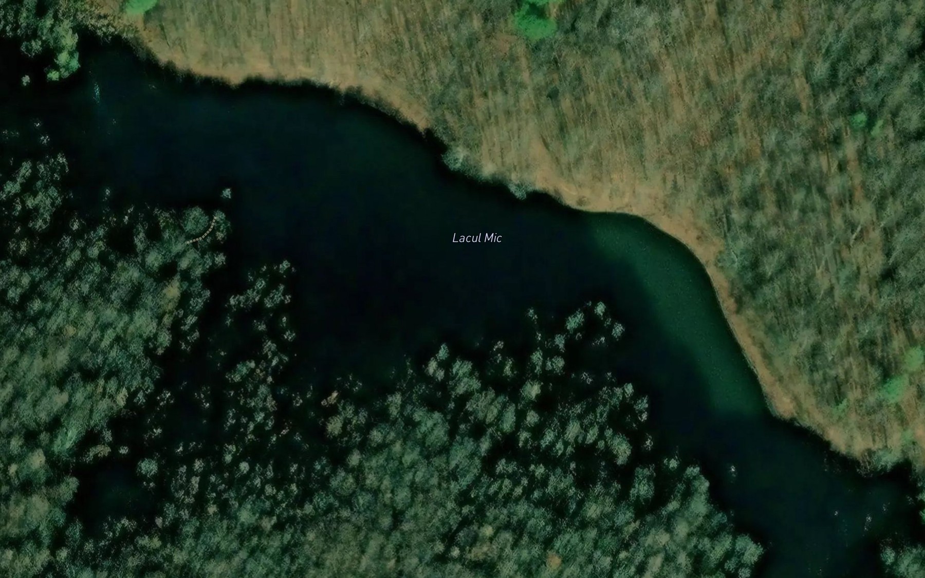 Satellite map of the Dognecea Mica