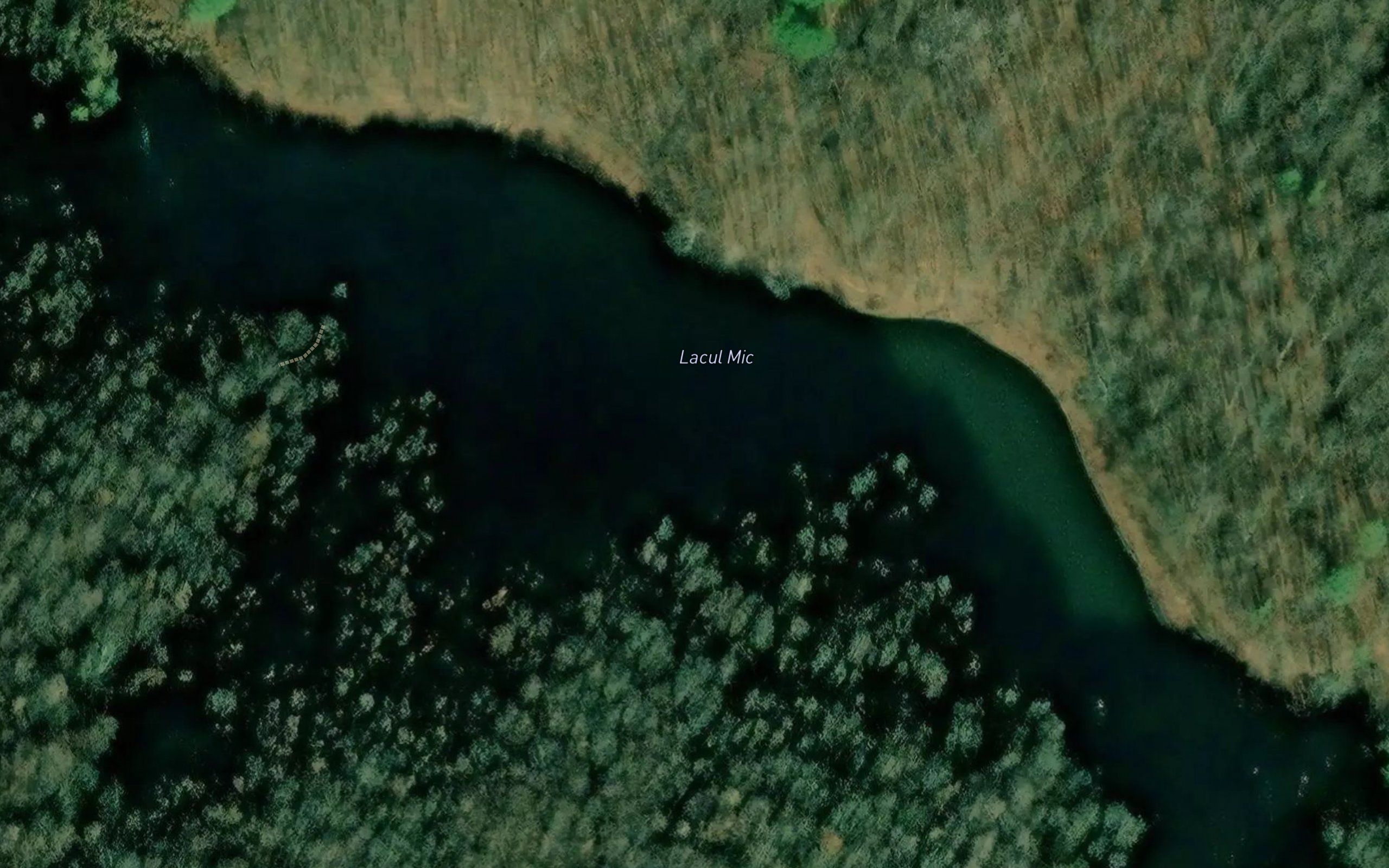 Dognecea Mica