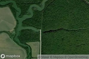 Bear Slough