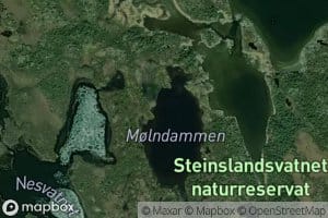 Molndammen