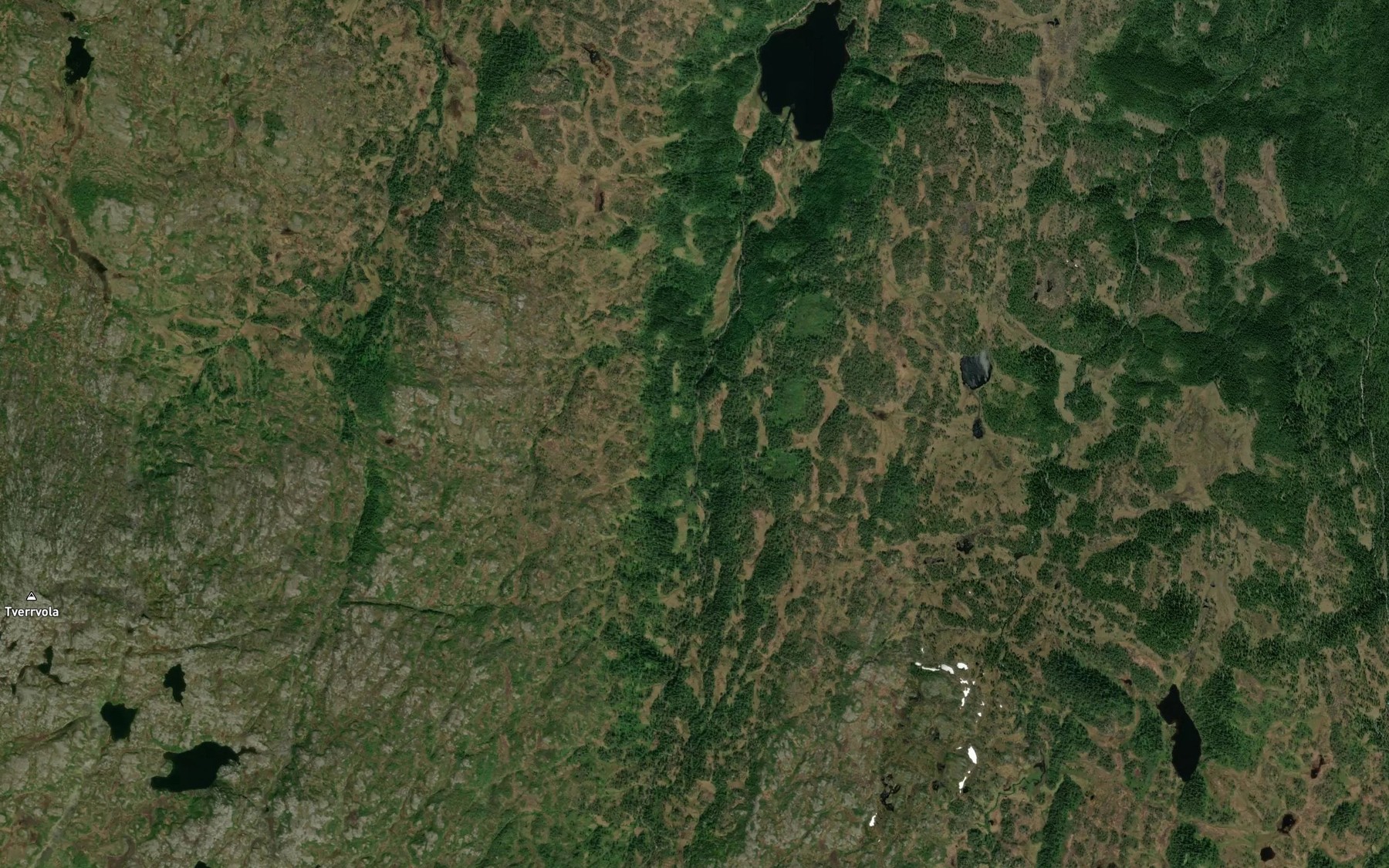 Satellite map of the Risaa