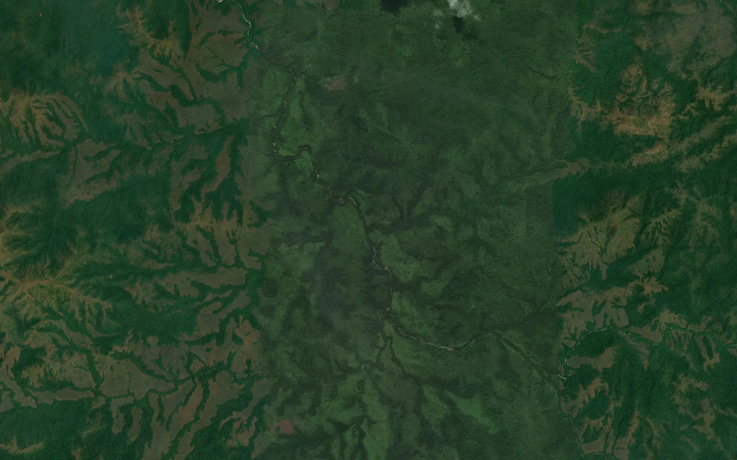 Gwani