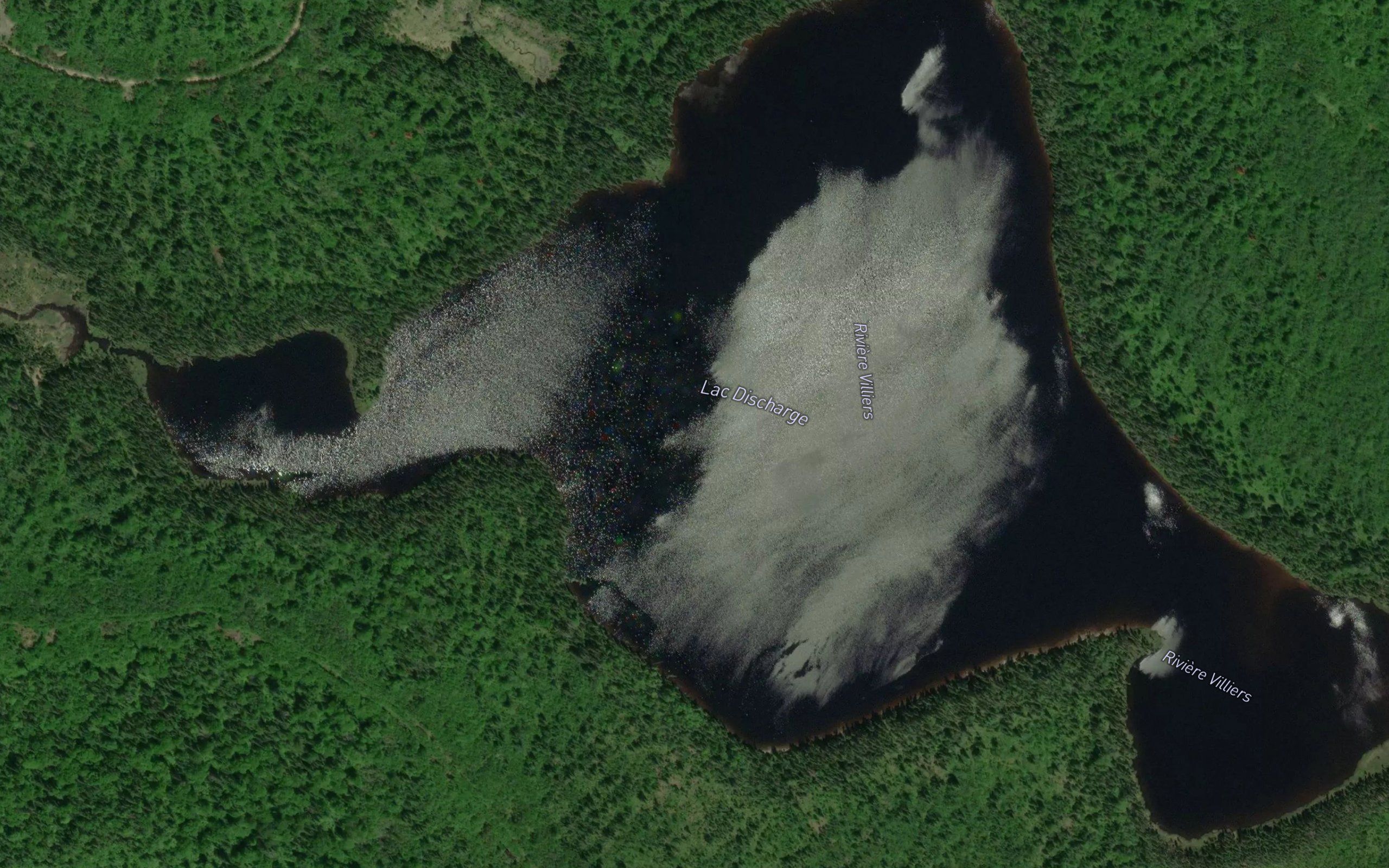 Lac Discharge